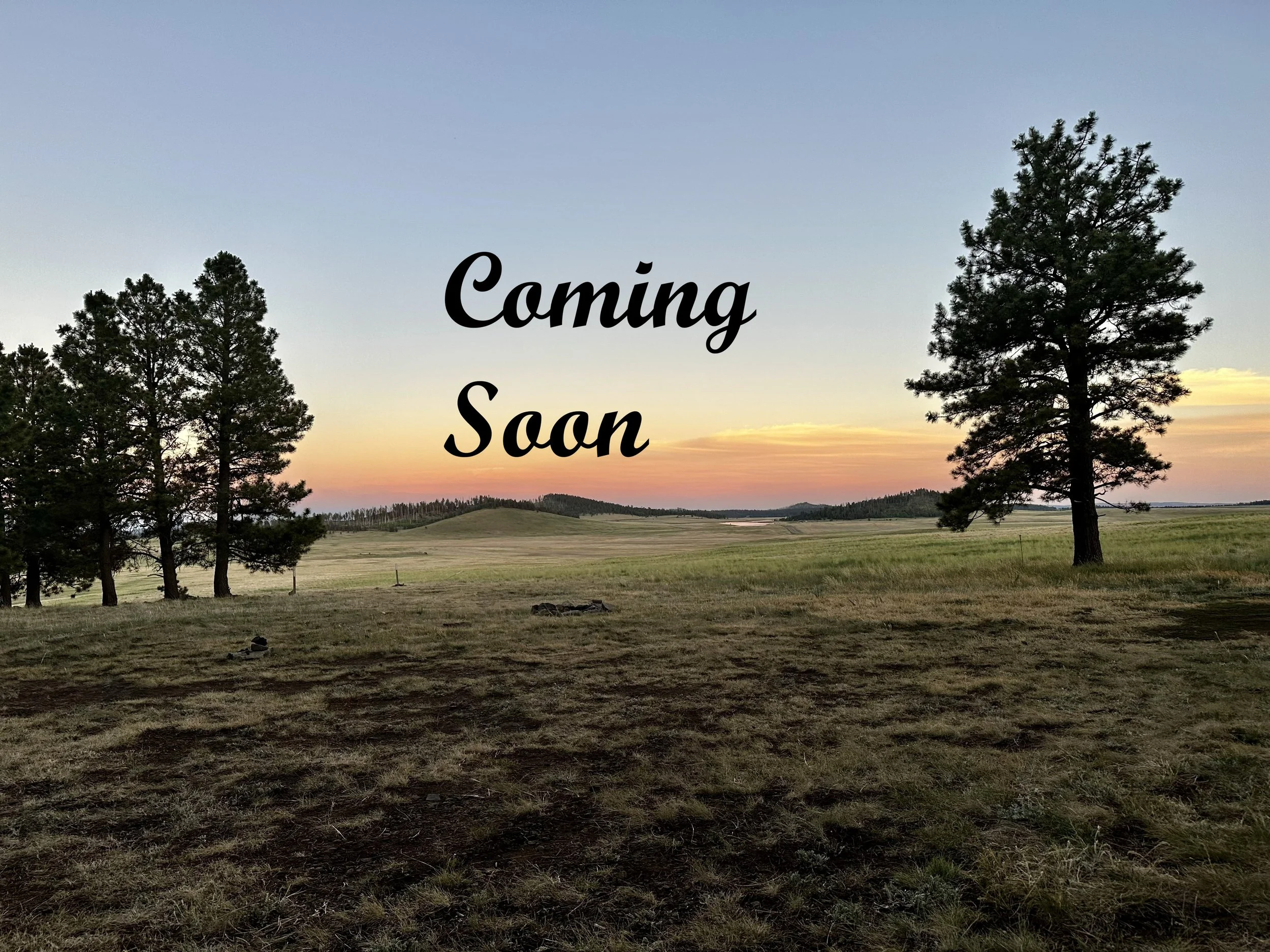 ***Coming Soon*** ~ Harvest Litter