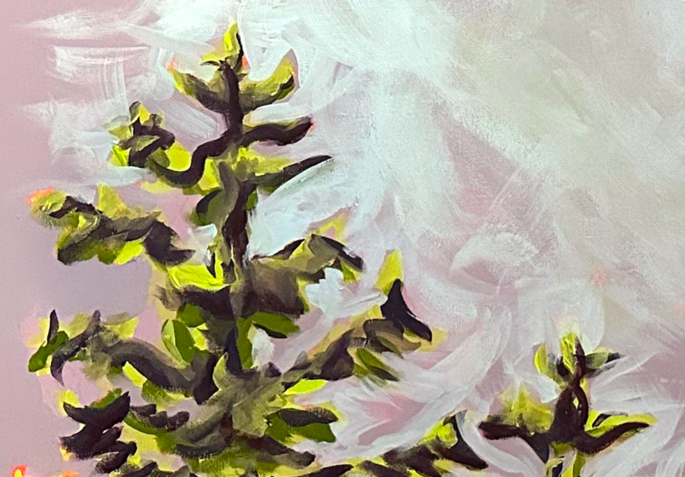 Branching Studies Series