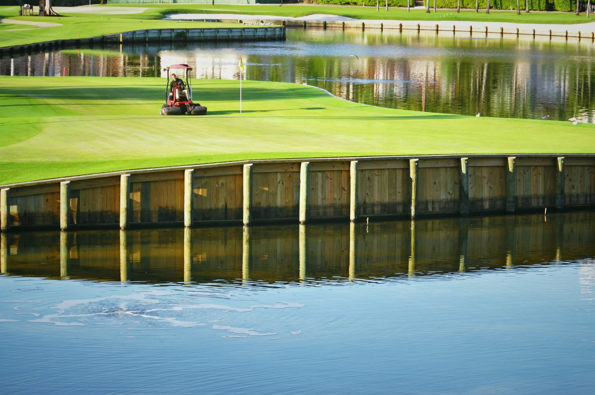 supreme-paspalum-golf-green-mower-fisher-island-miami.jpg