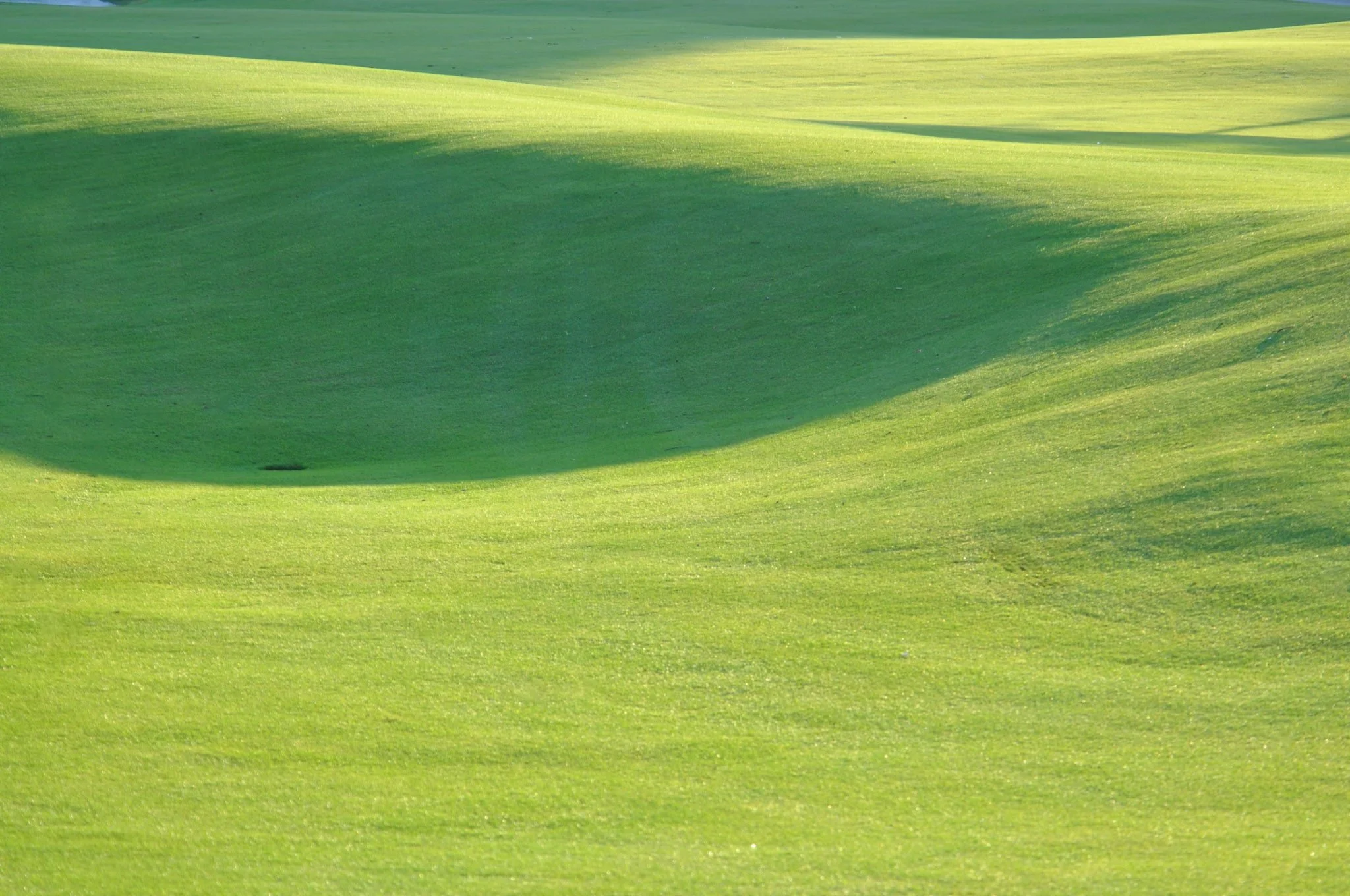 Sweeping view of a lush, manicured golf course with rolling green hills and sunlight casting soft shadows on the grass.