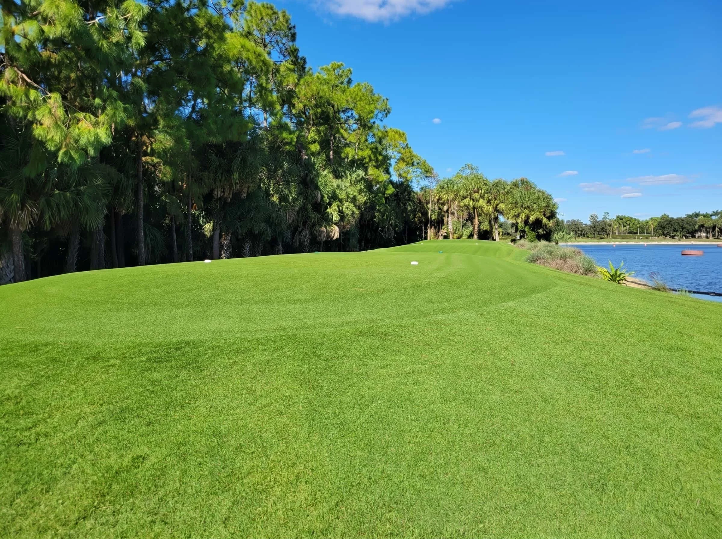 A scenic view of a golf course with a bright green fairway, trees on the left side, and a body of water on the right, under a clear blue sky with some scattered clouds.