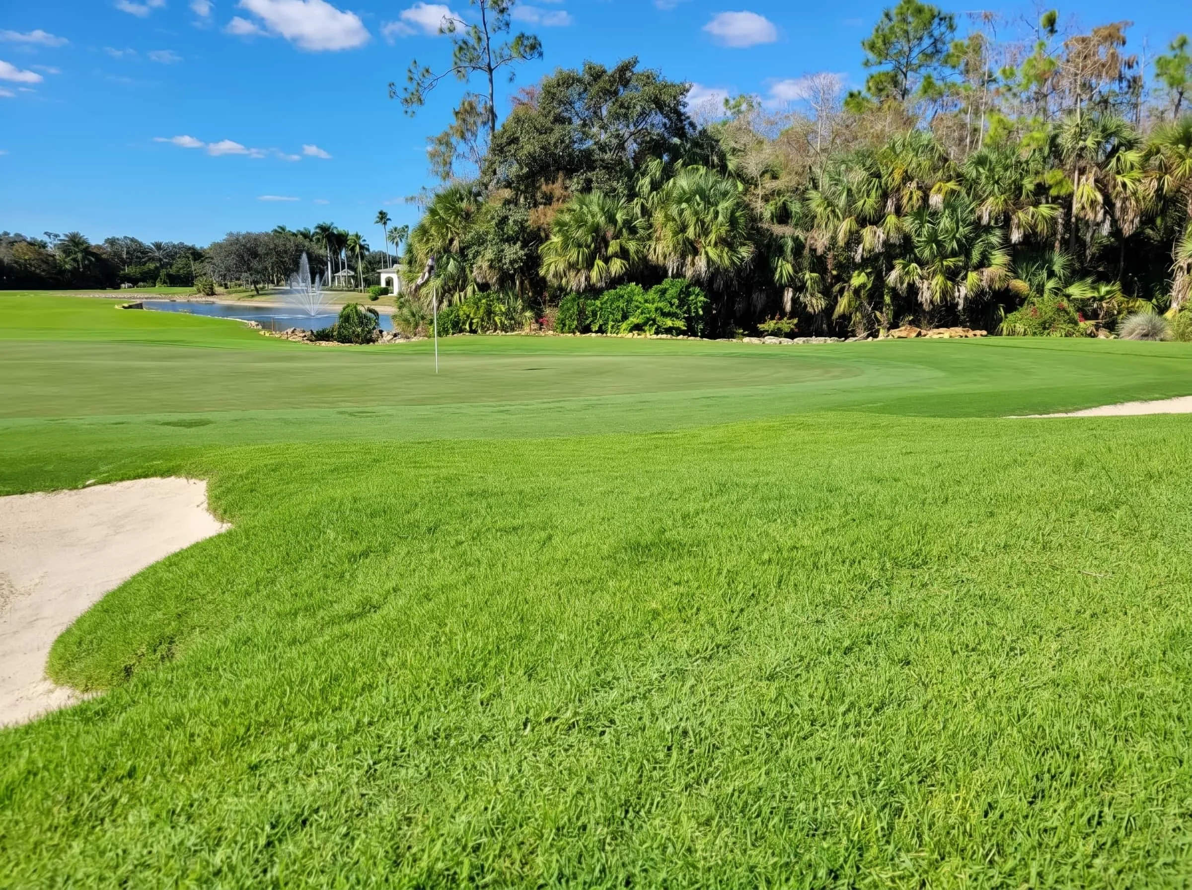 A lush green golf course with a putting green, sand trap, water fountain, trees, and a bright blue sky with a few clouds.