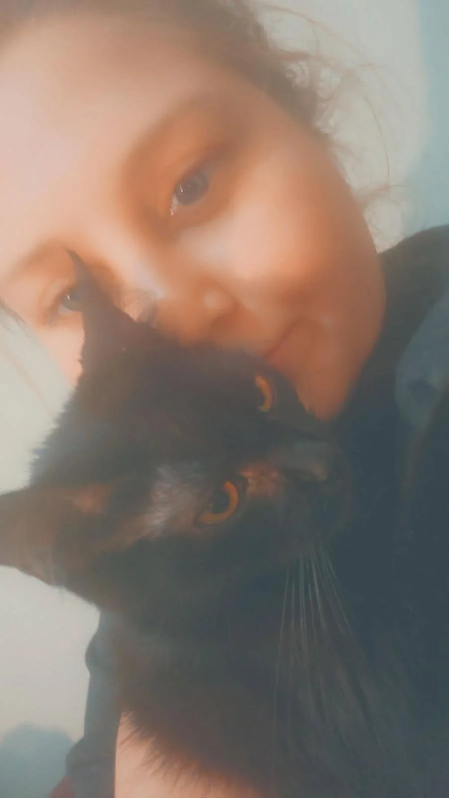 A young girl cuddling with a black and brown cat, both resting their faces close together.