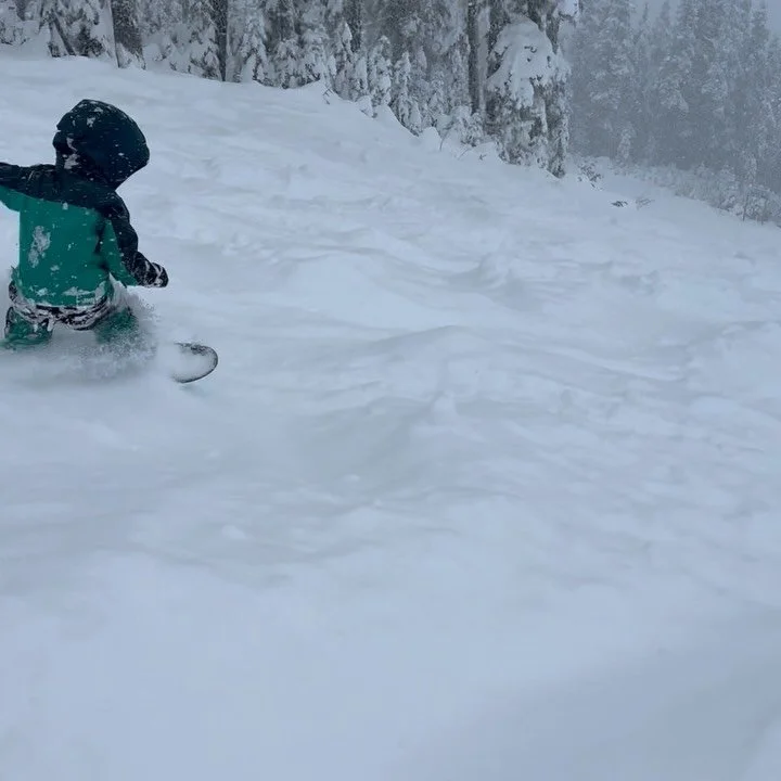 January highlights: learning to be okay with the weather roller coaster ☀️☔️🌨️, pouring love into the new app 💕, and making memories outdoors with family and friends. Now just waiting for this vertigo to pass so February can start!&rdquo;
 1.  Firs