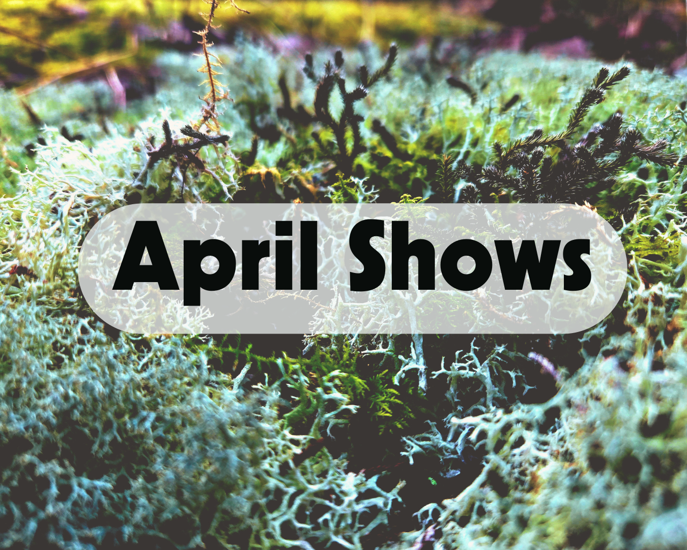 April Shows