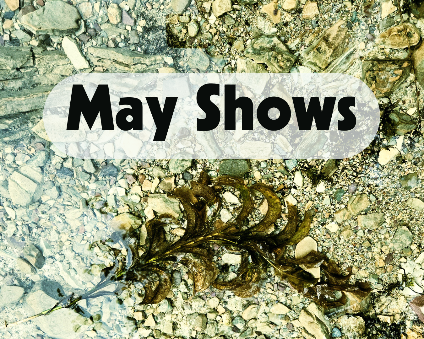 May Shows