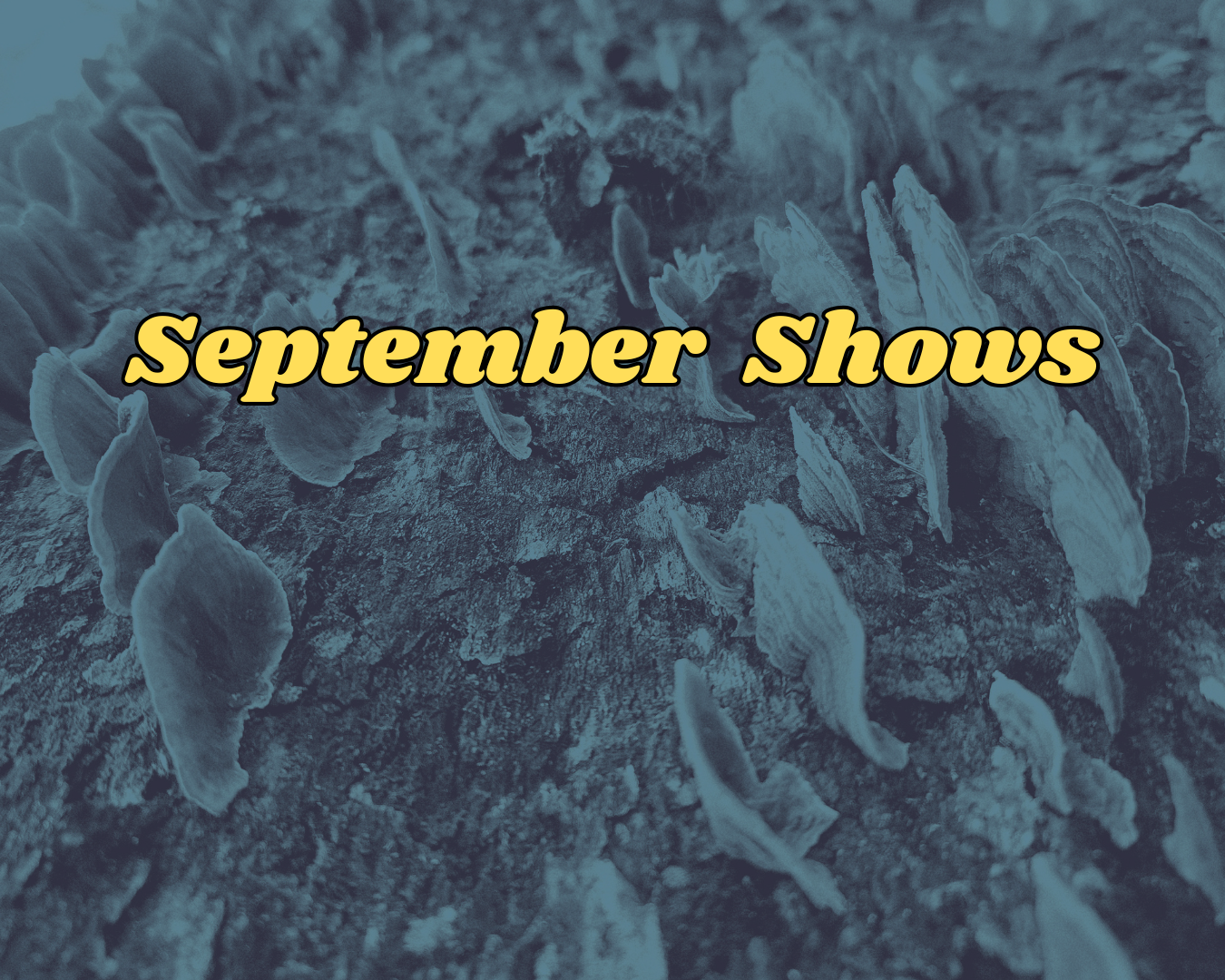 September Shows
