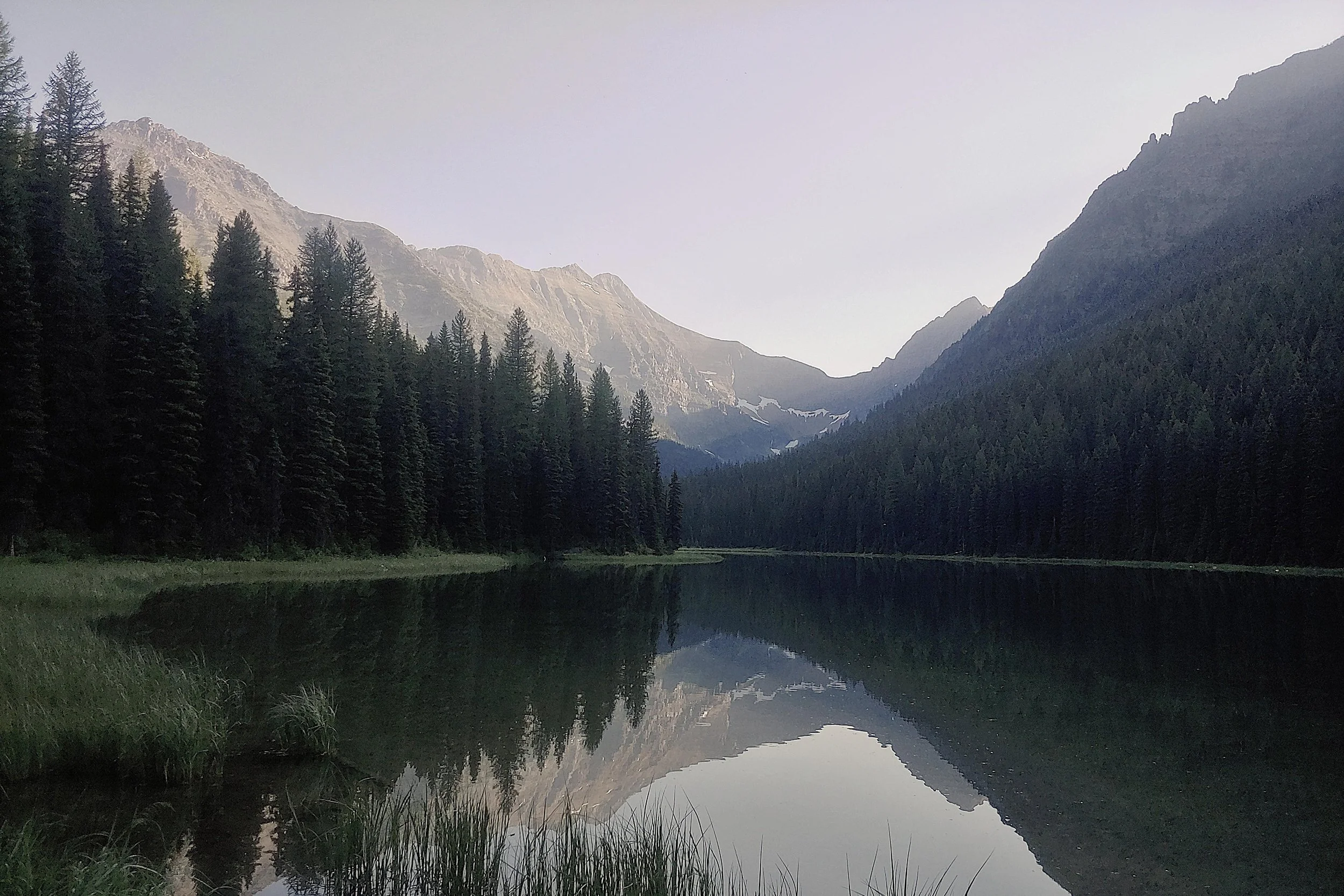 Montana river with trees and mountains in the background