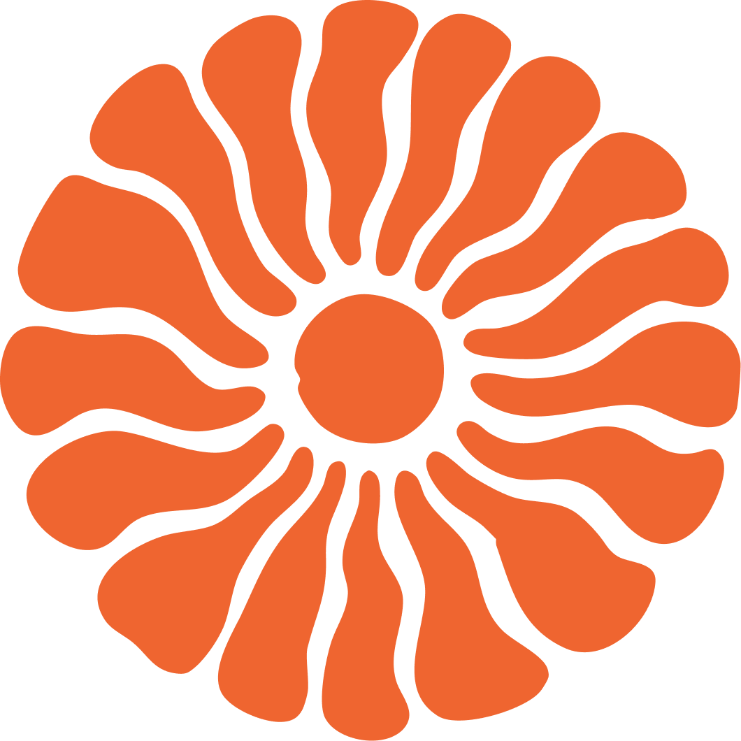 A stylized orange flower with a circular center and elongated petal shapes radiating outward.