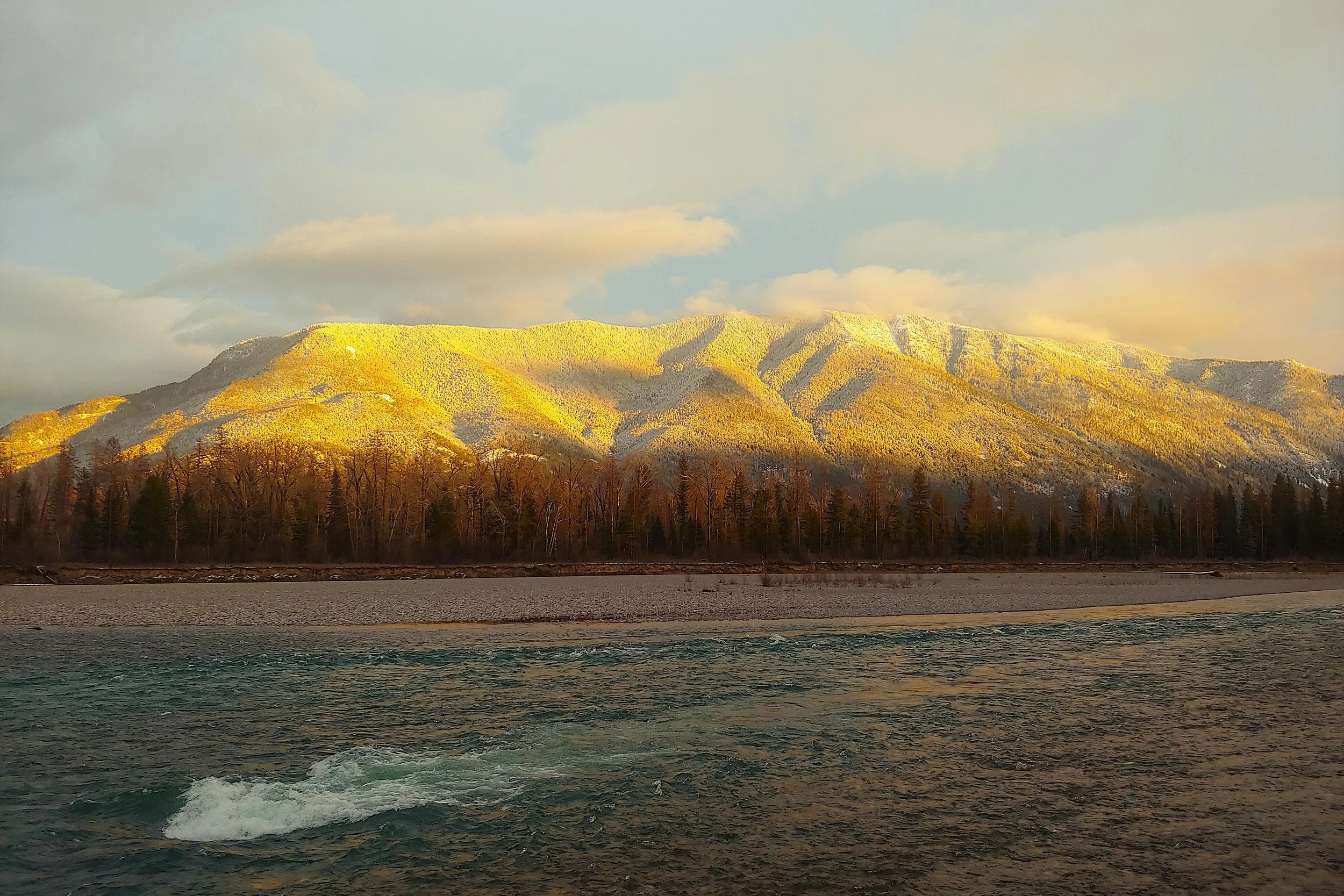Waterfront in Montana with trees and mountains in the background