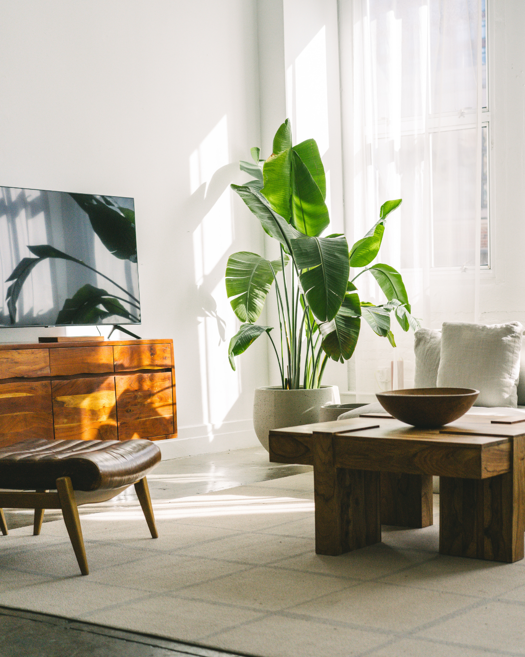 In-home mobility and safety consultation in Greater Los Angeles