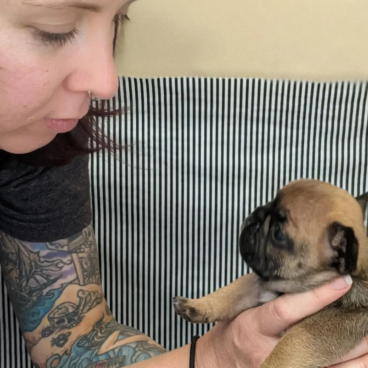 A woman with tattoos on her arm holding a puppy in her hands facing each other indoors.