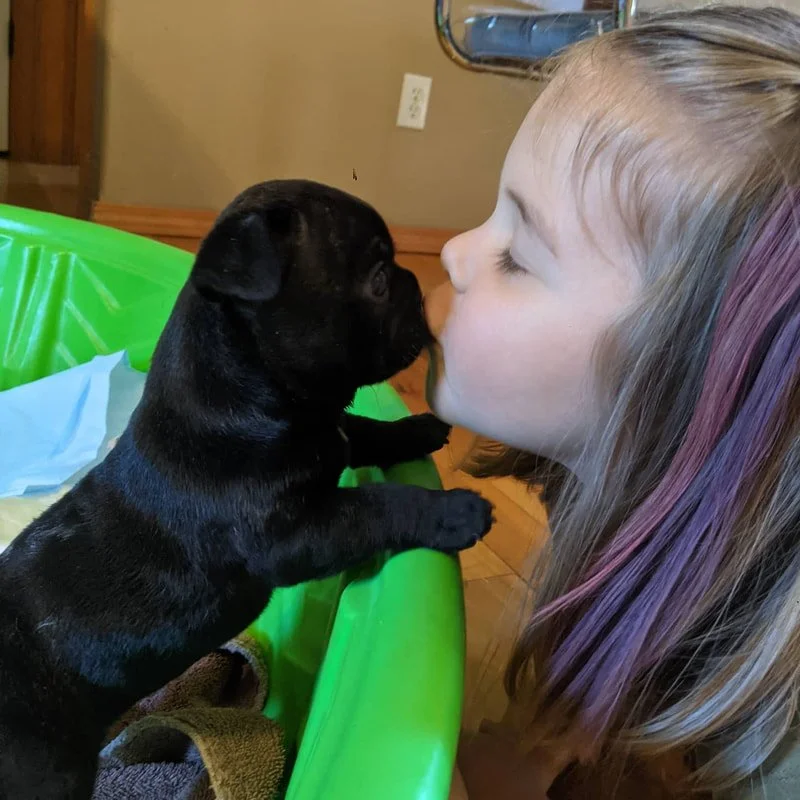 A young girl with blonde hair and purple highlights kissing a small black puppy.