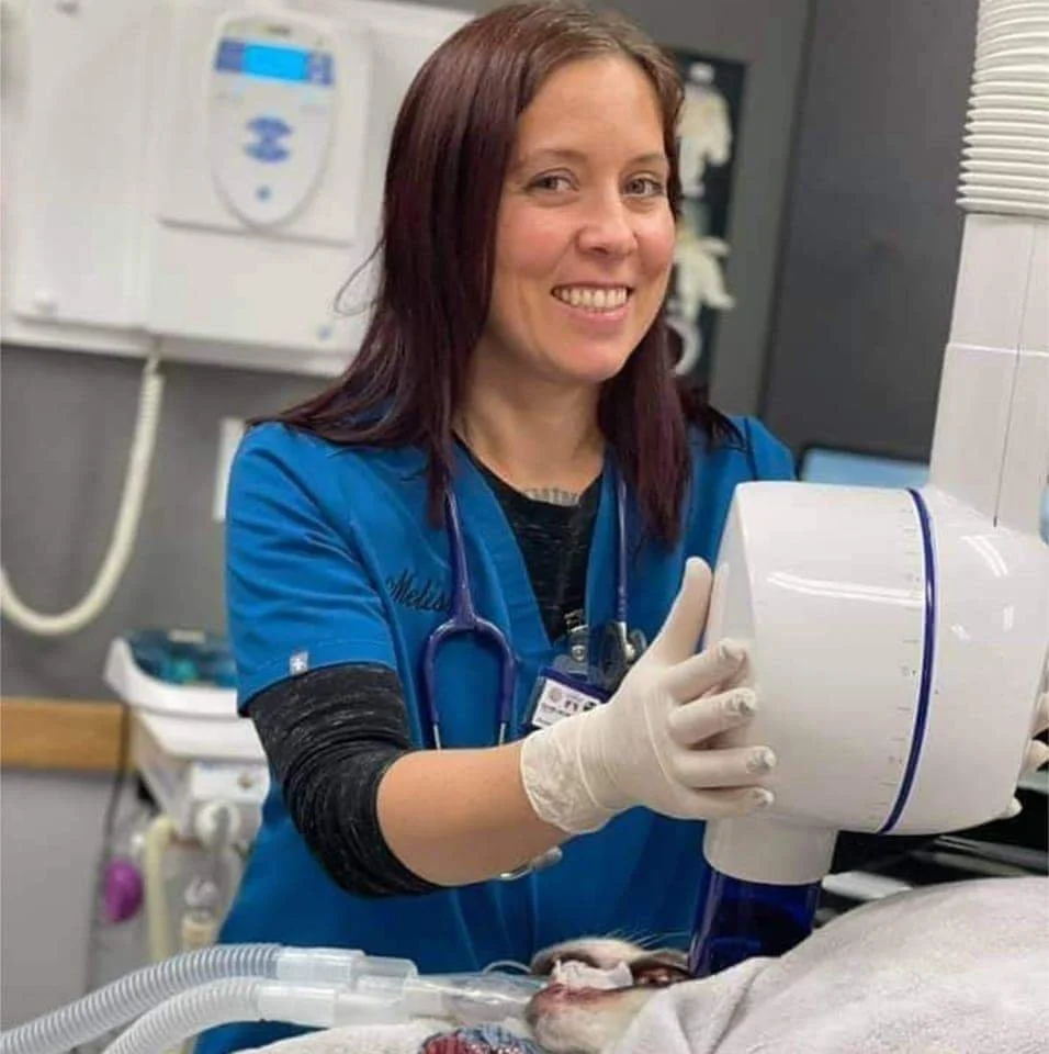A female veterinary technician in a blue uniform and gloves operating an X-ray machine at a veterinary clinic.
