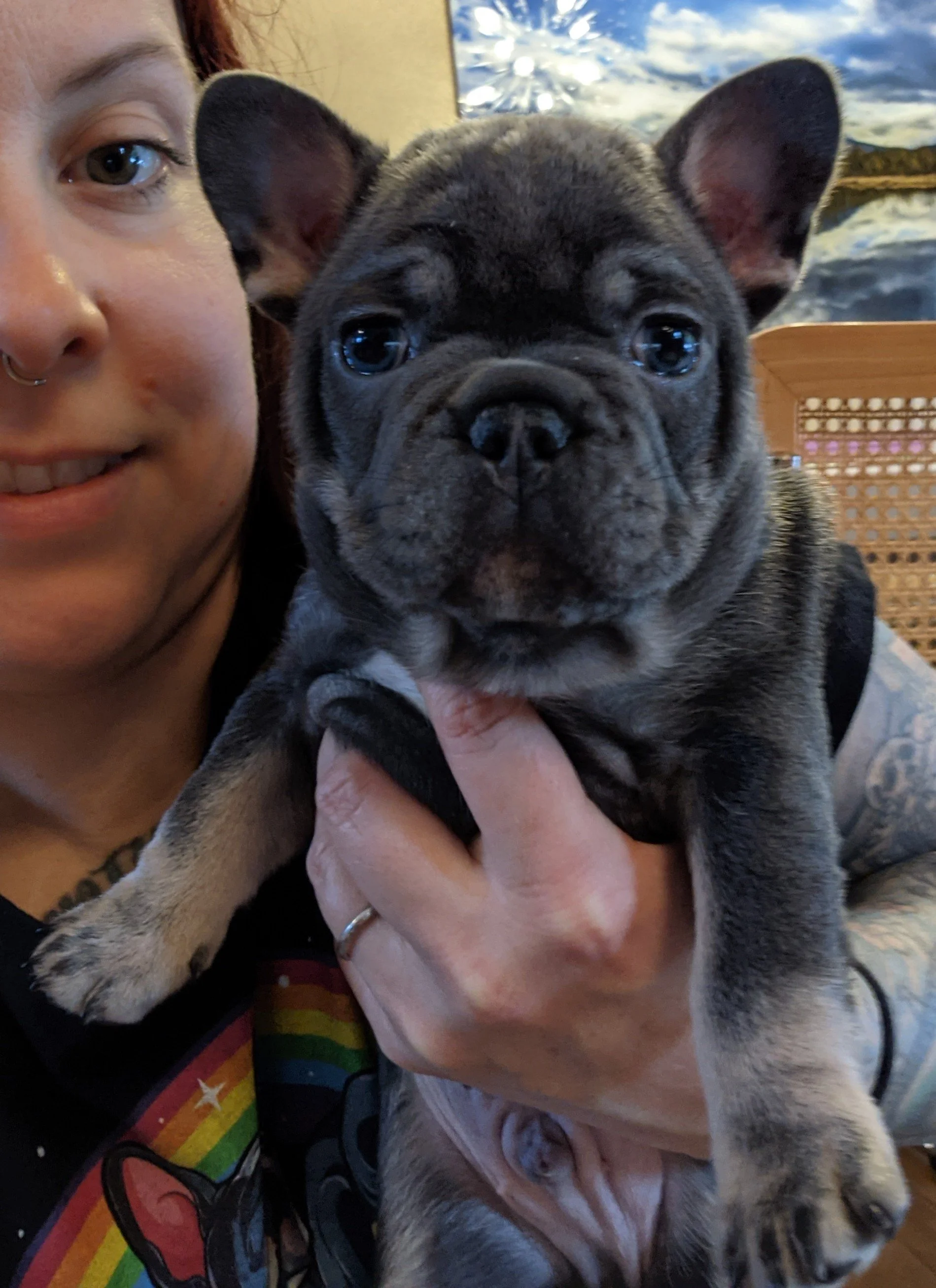 A woman holding a French Bulldog puppy close to her face, with a painting of a landscape in the background.