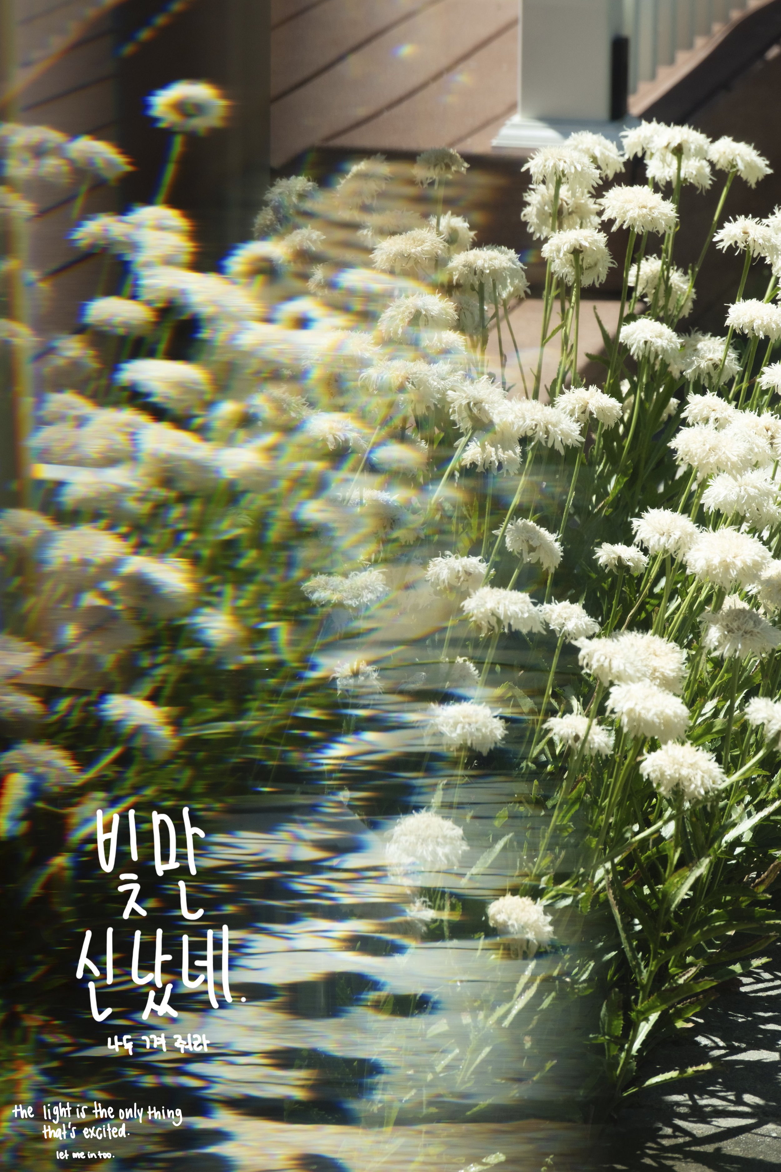 20250721_0307 copy.jpg