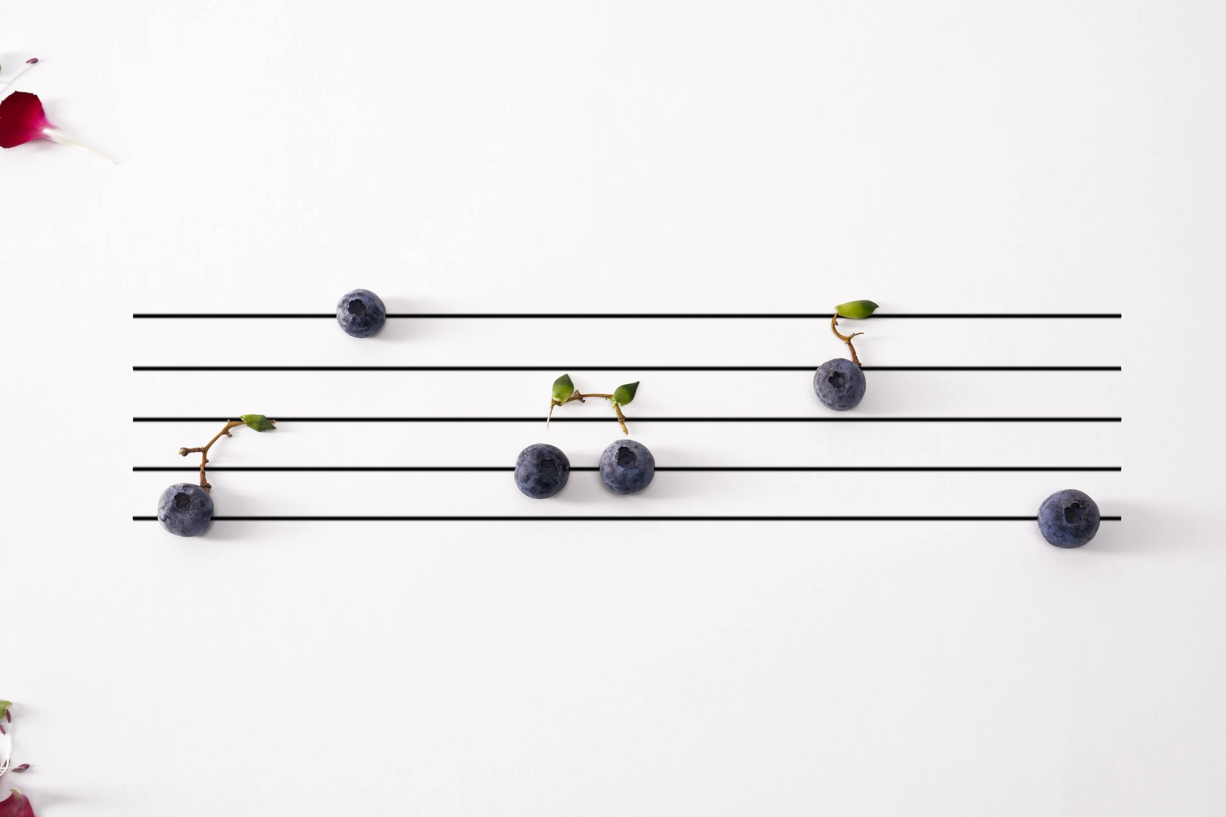 20251122_1381 copy.jpg