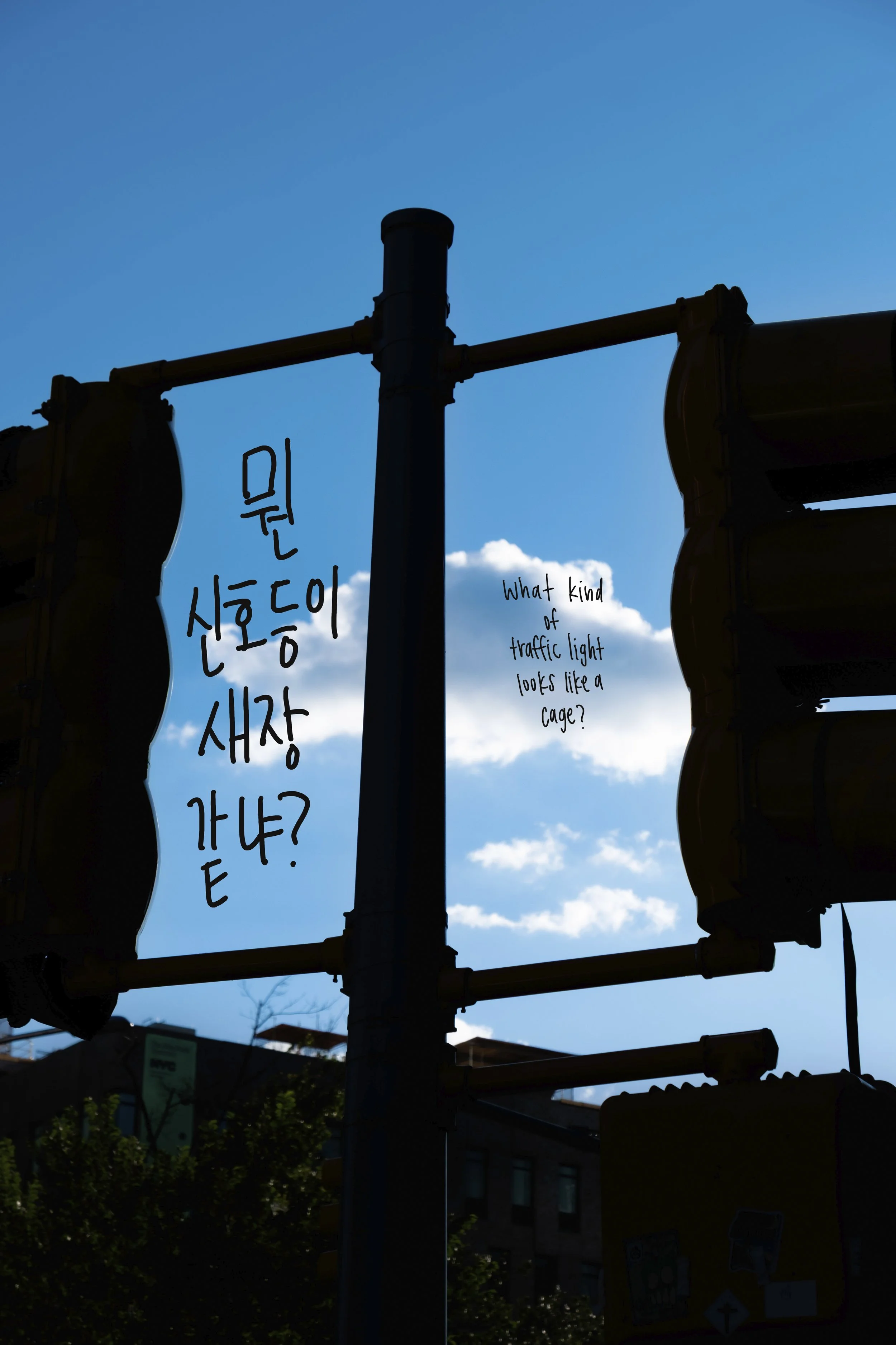 20250901_0496 copy.jpg