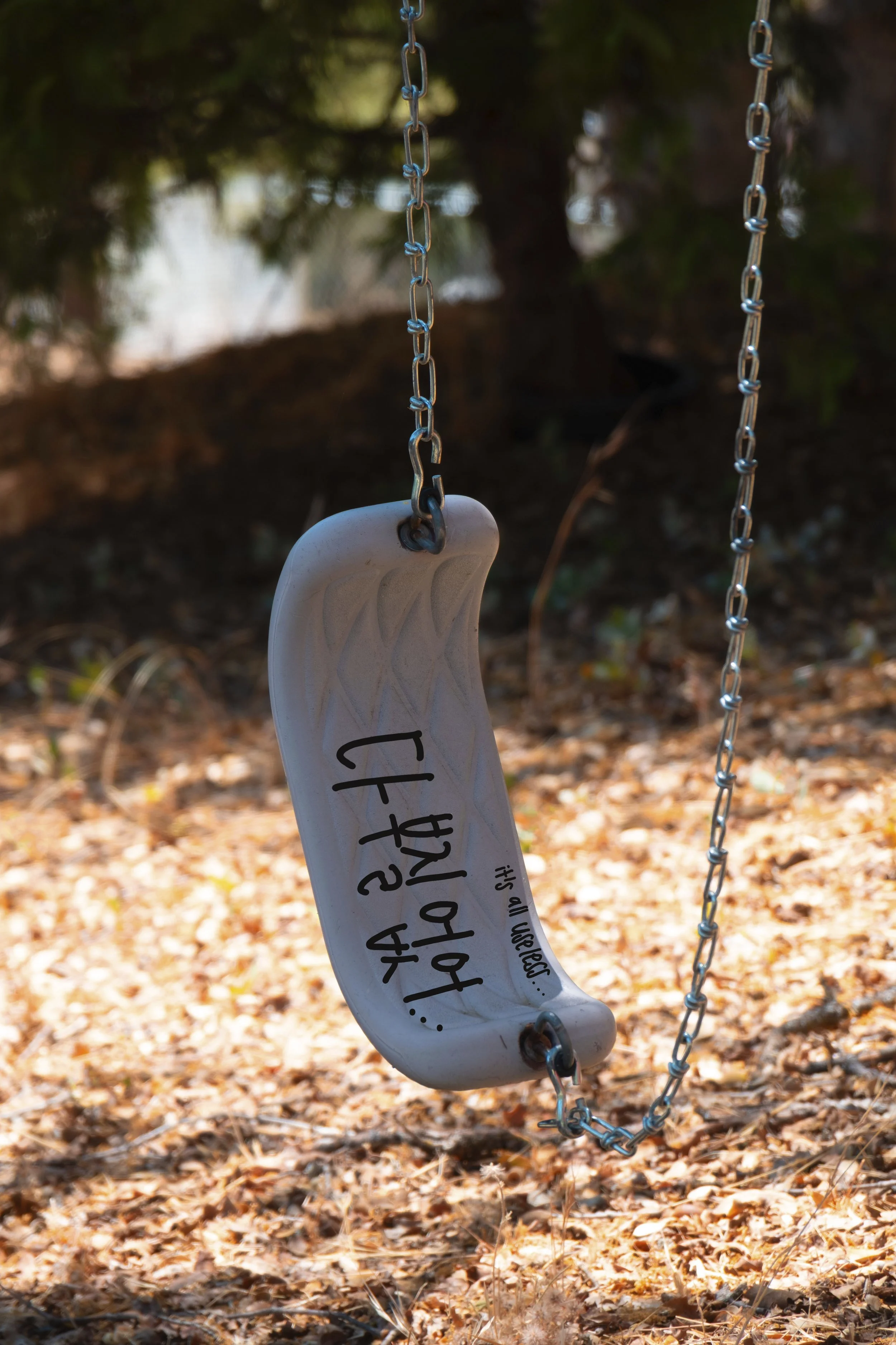 20250718_0141 copy.jpg