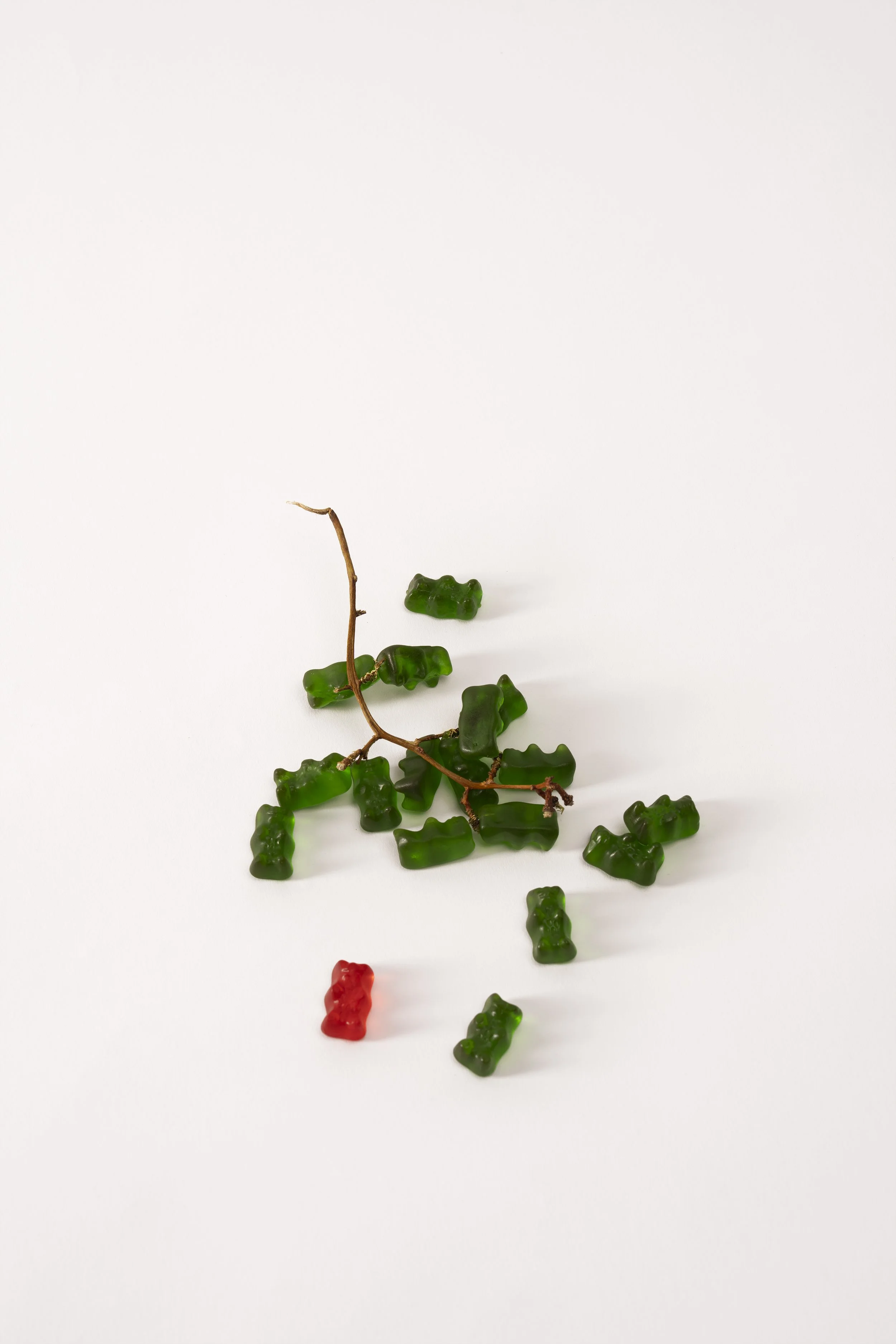 20251122_1423 copy.jpg