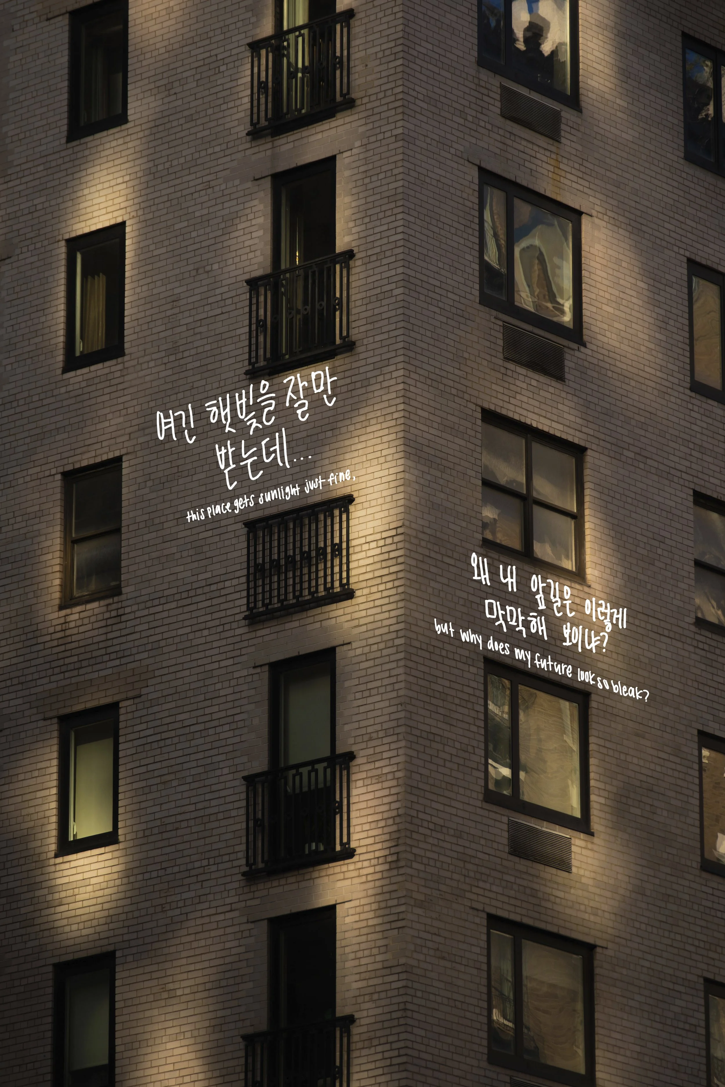 20250926_0778  copy.jpg