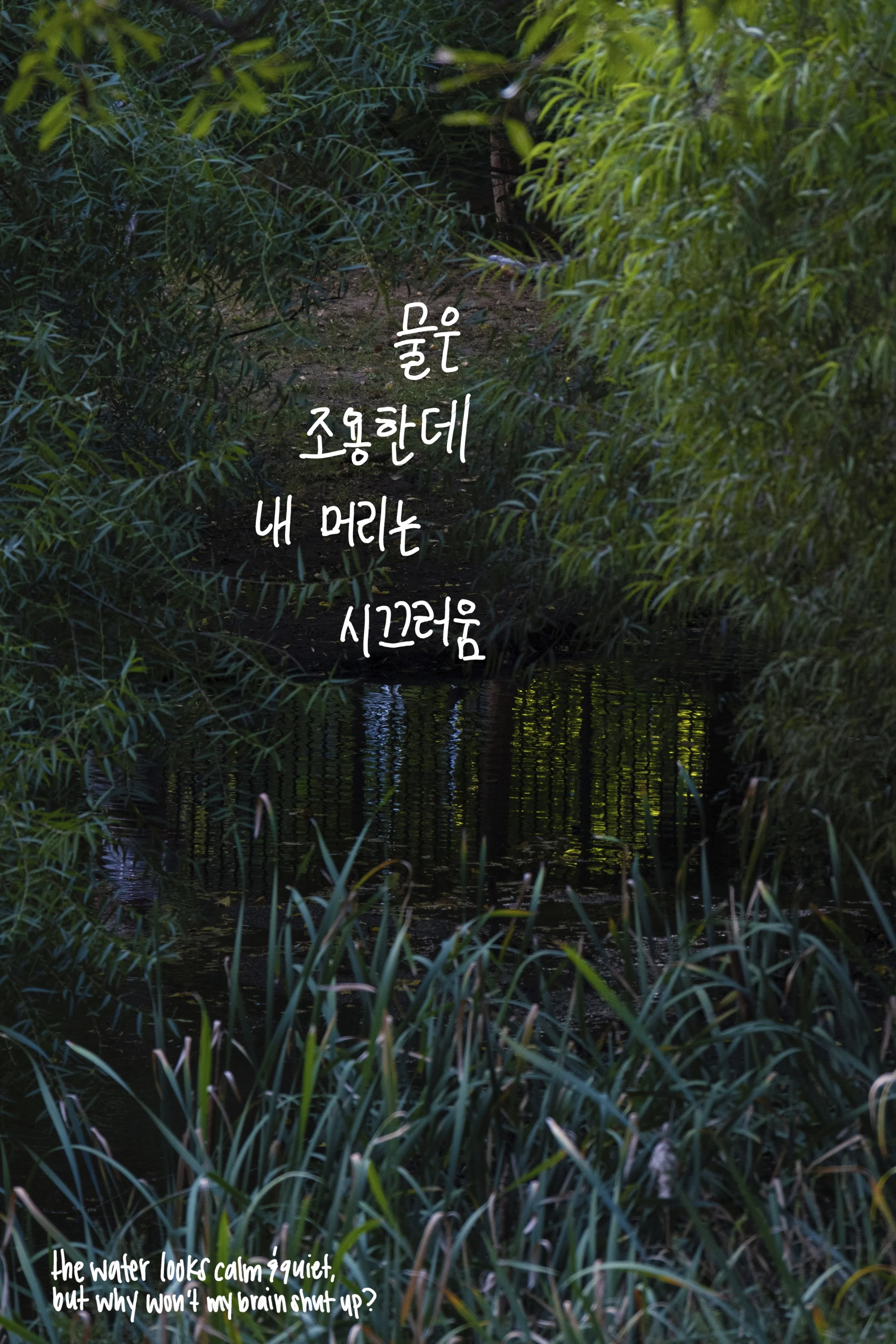 20250926_0789 copy.jpg