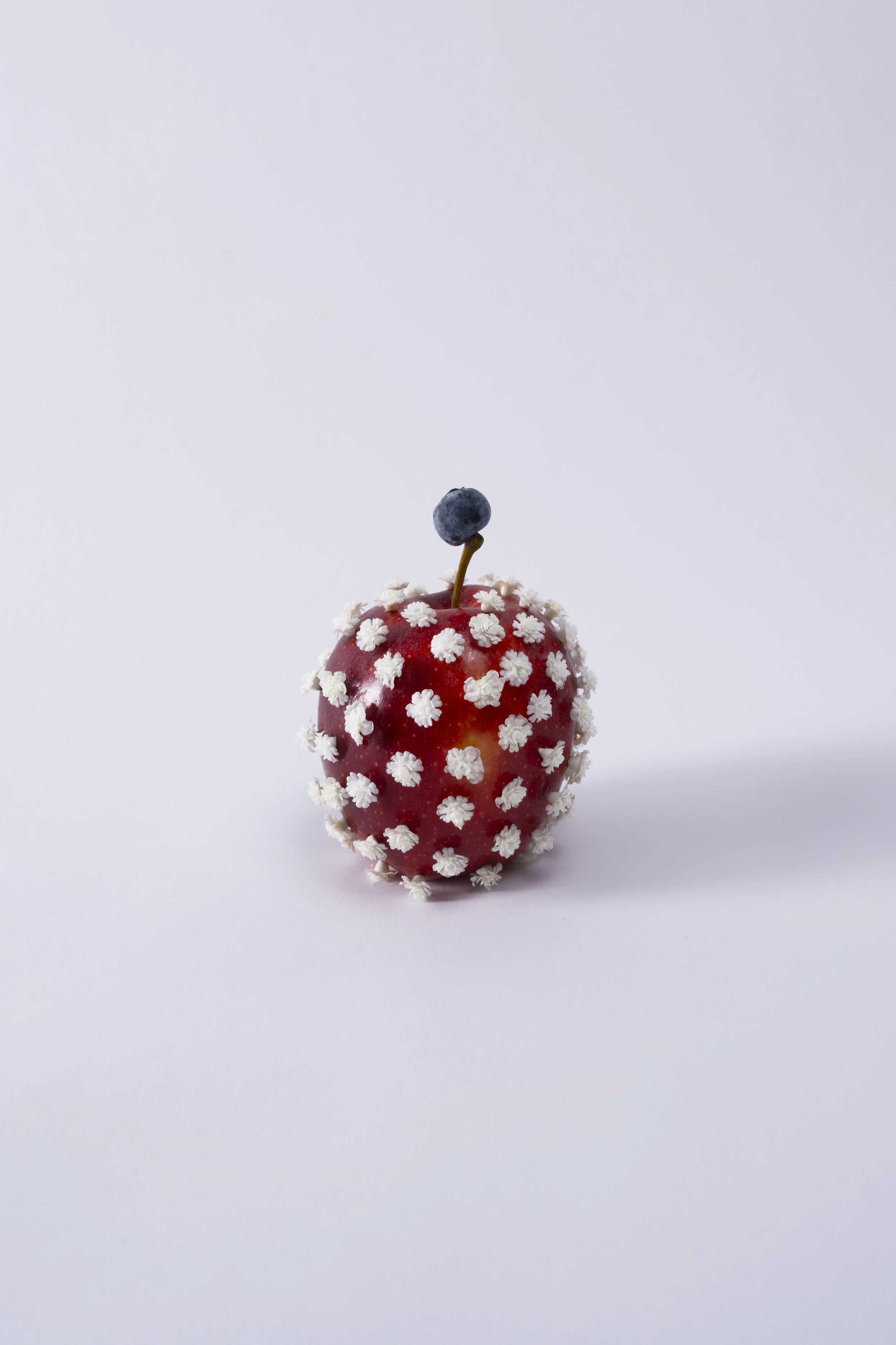 20251122_1498 copy.jpg