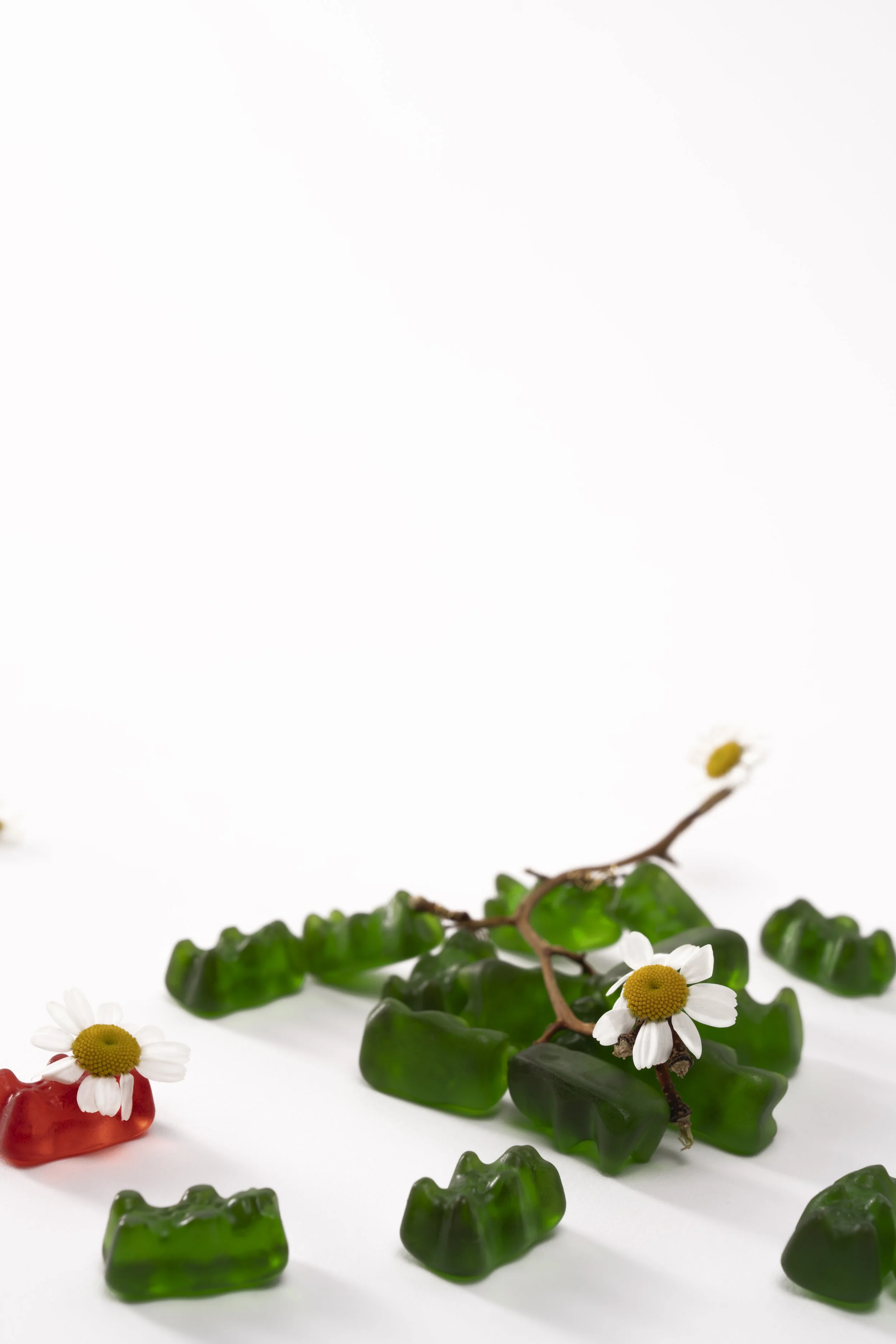 20251122_1458 copy.jpg