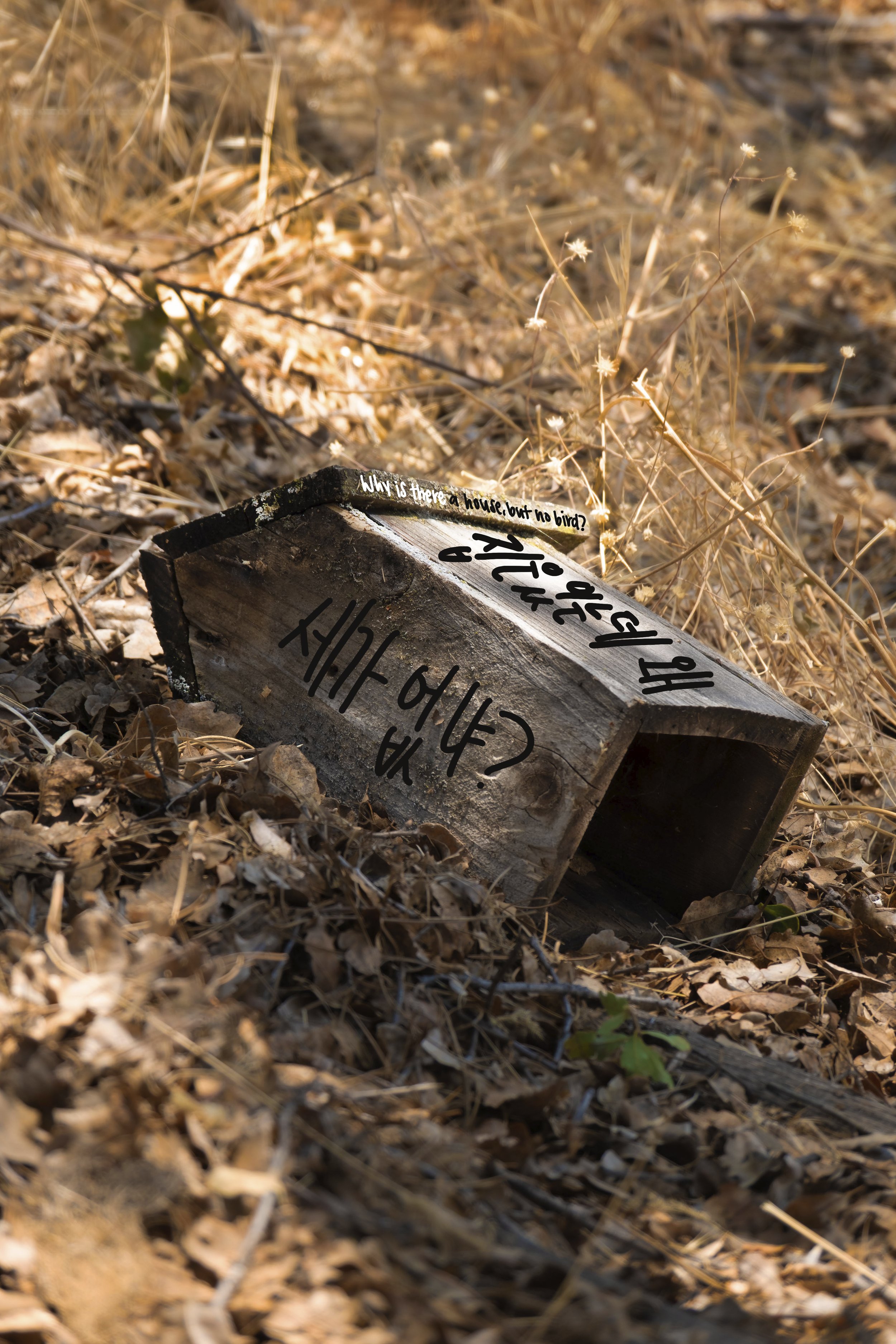 20250718_0127 copy.jpg