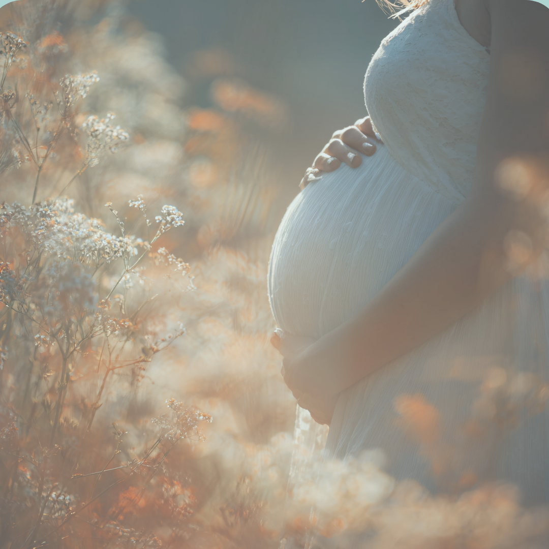 Close-up of a pregnant woman gently holding her belly with both hands, standing in a field of delicate white and light orange flowers, illuminated by soft sunlight.