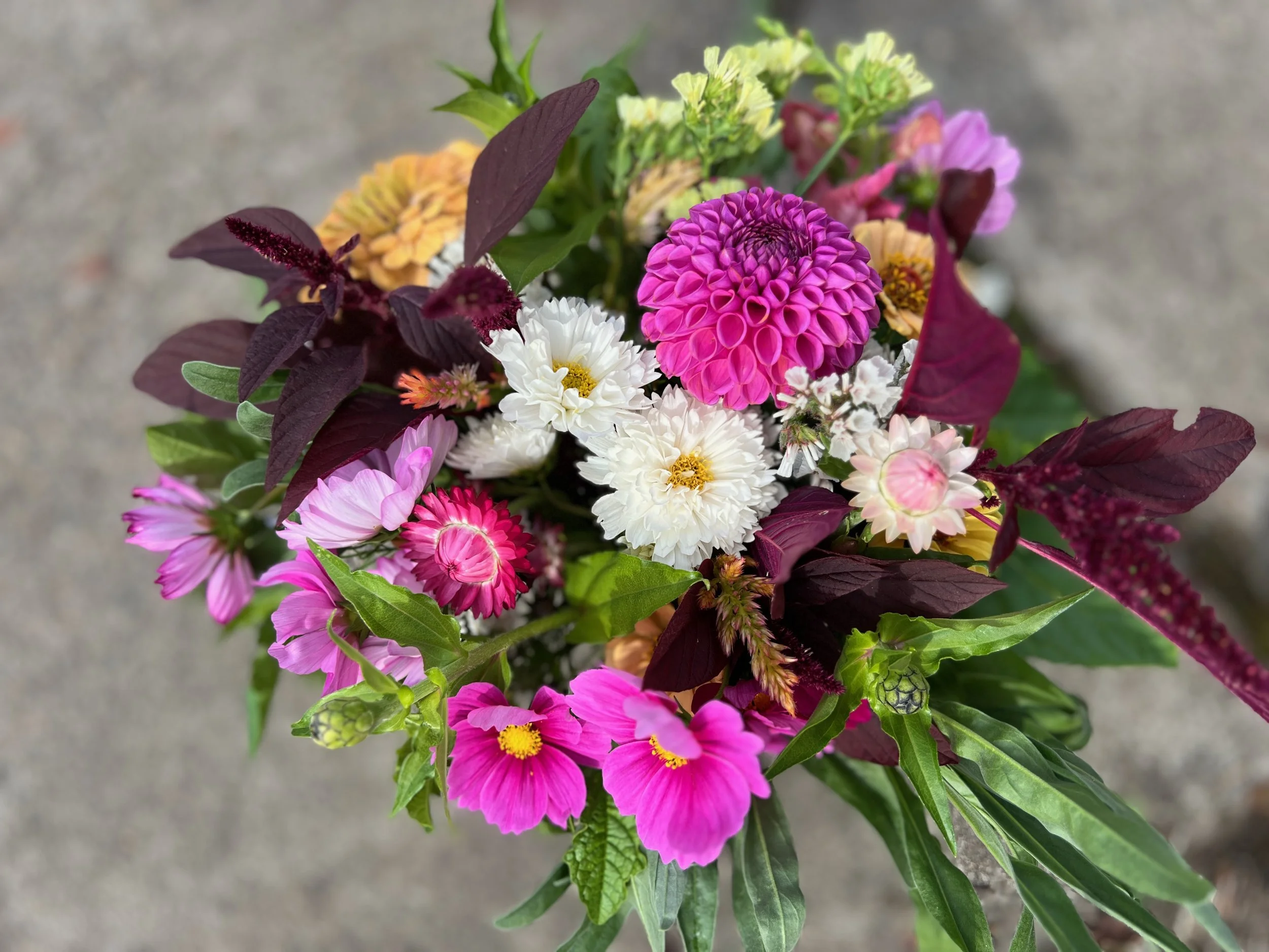 Summer Bouquet Subscription