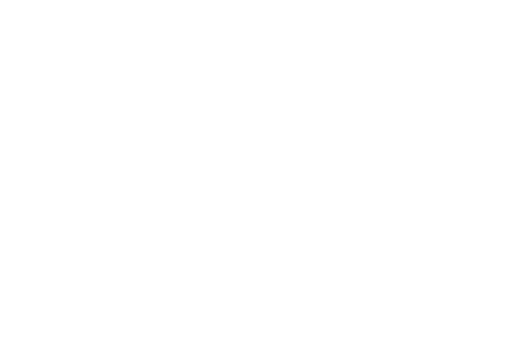 Silhouette of a bison