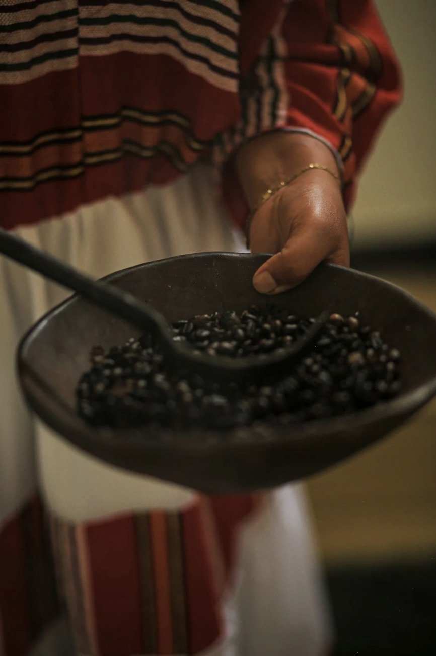 Indigenous Perspectives on Public Health & Wellness