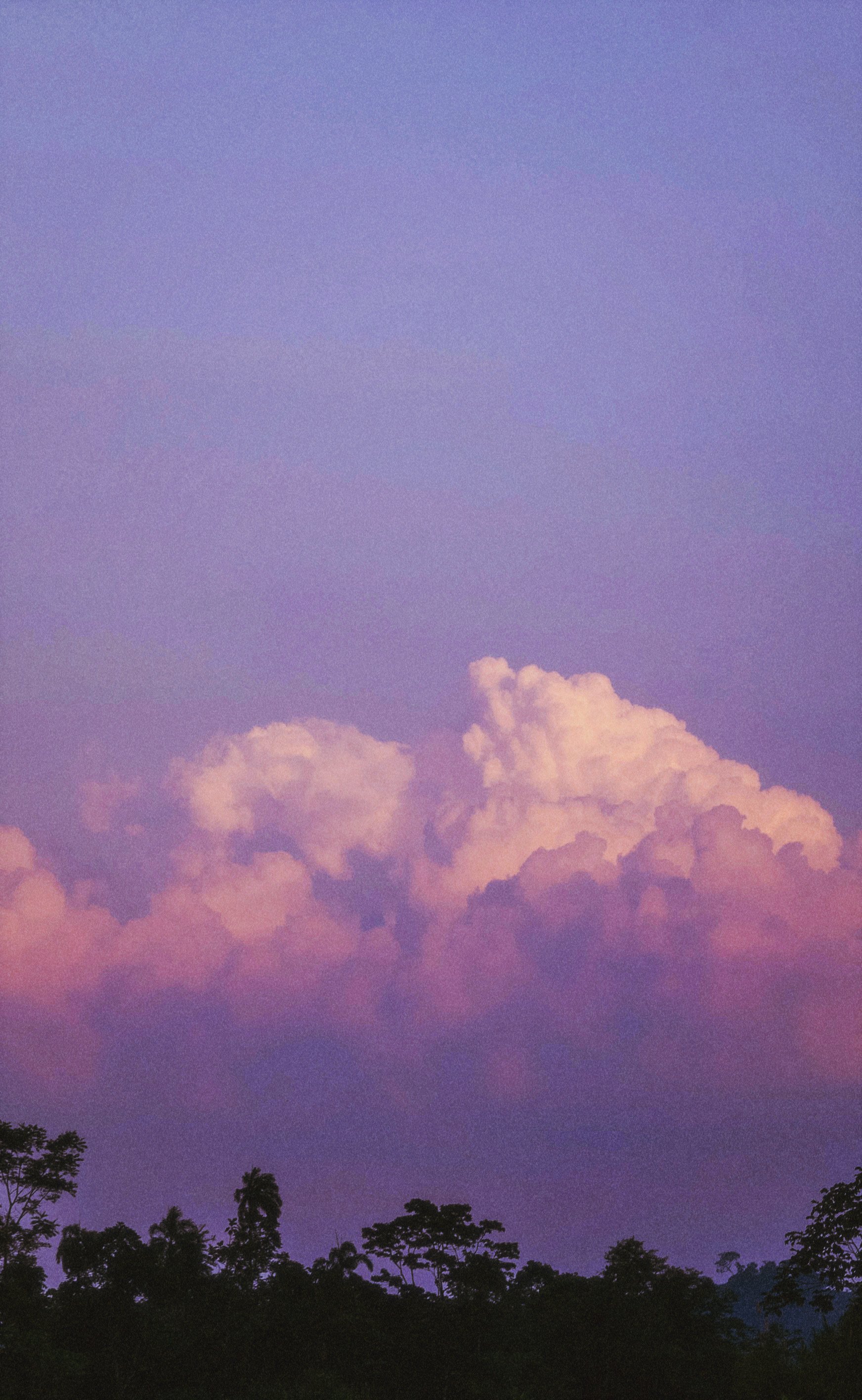 AfterlightImage 8 2.JPG