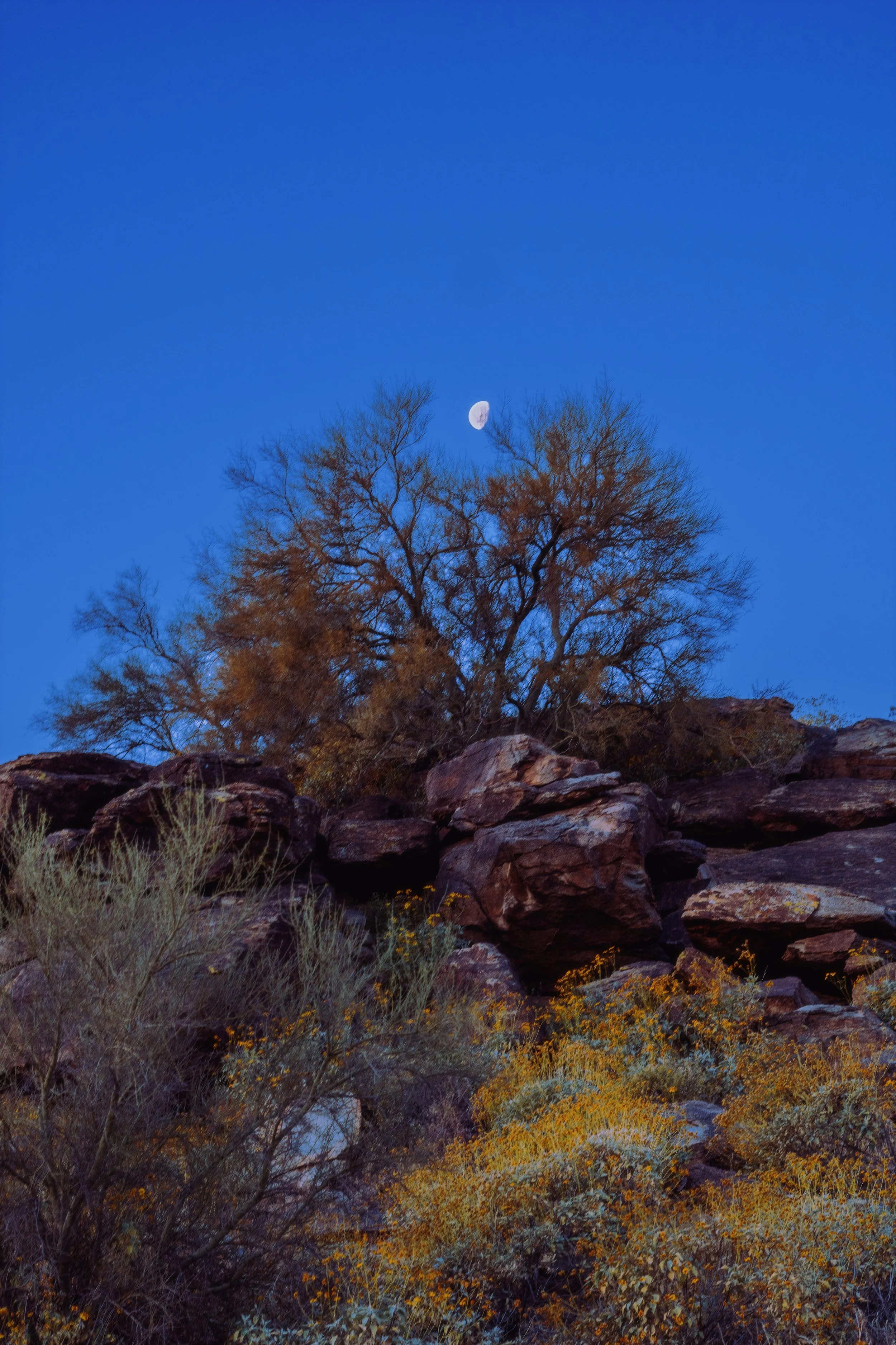 AfterlightImage 5.JPG