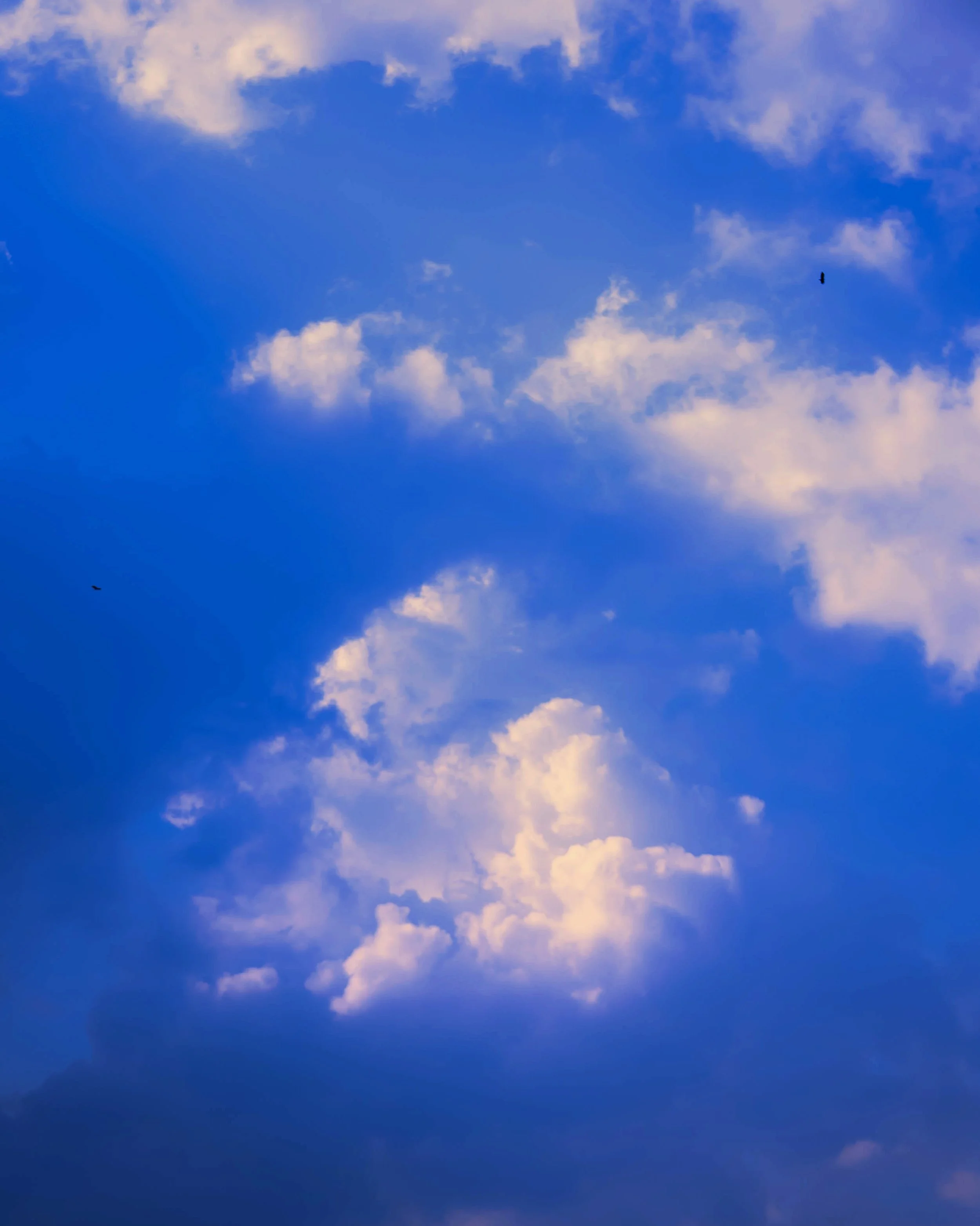 AfterlightImage 15.JPG