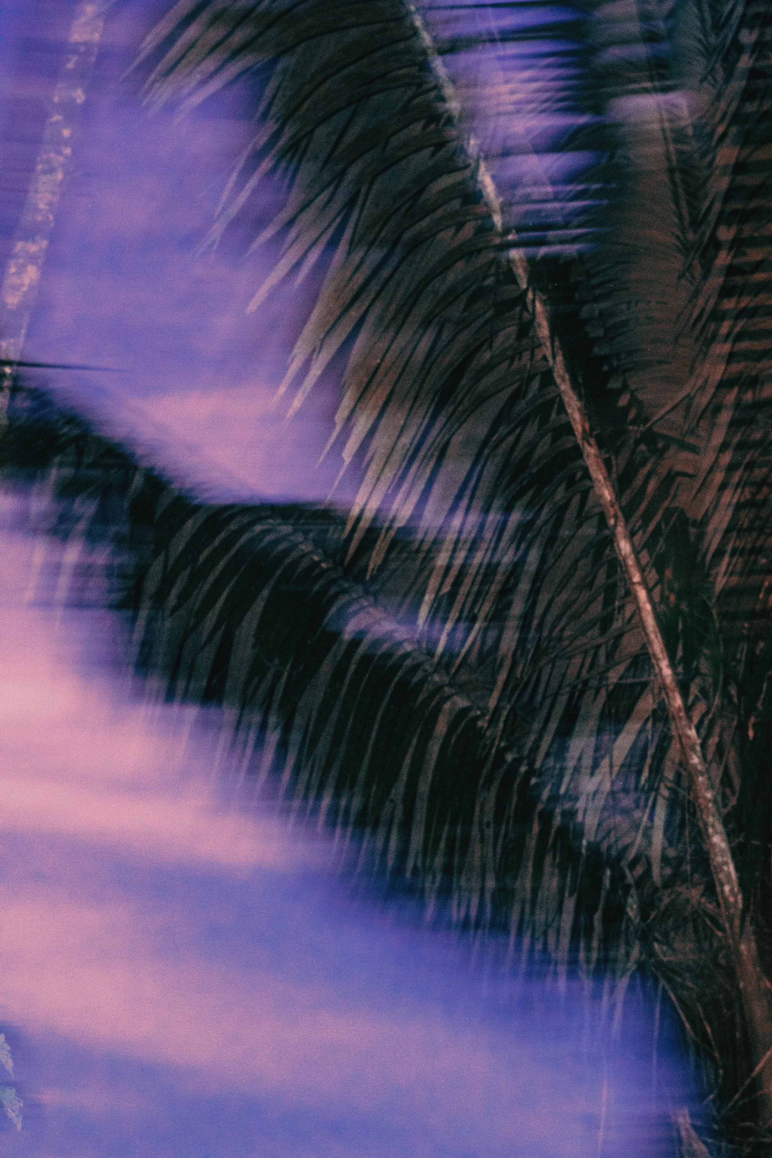 AfterlightImage 2 4.JPG