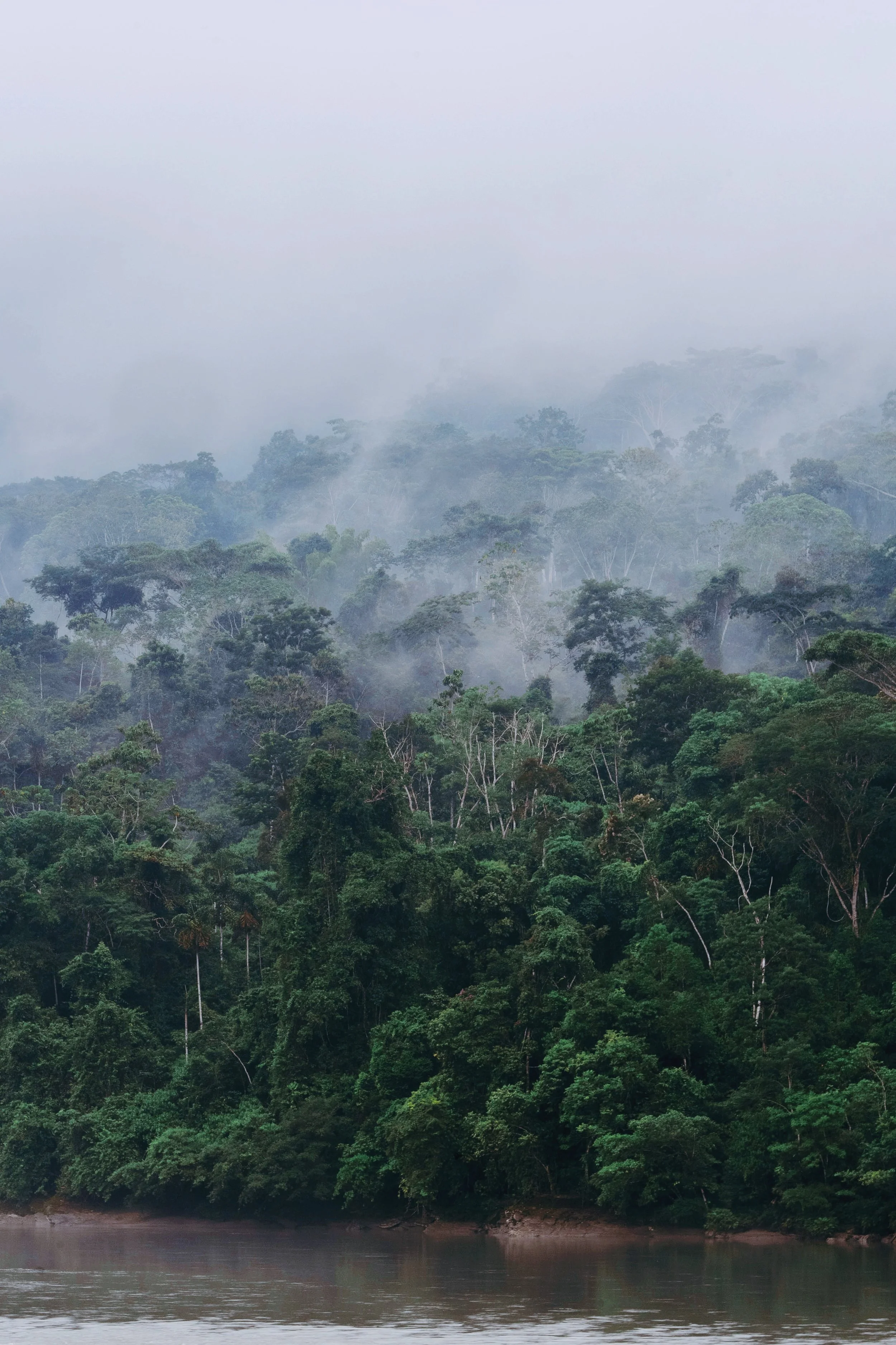 AfterlightImage 6.JPG