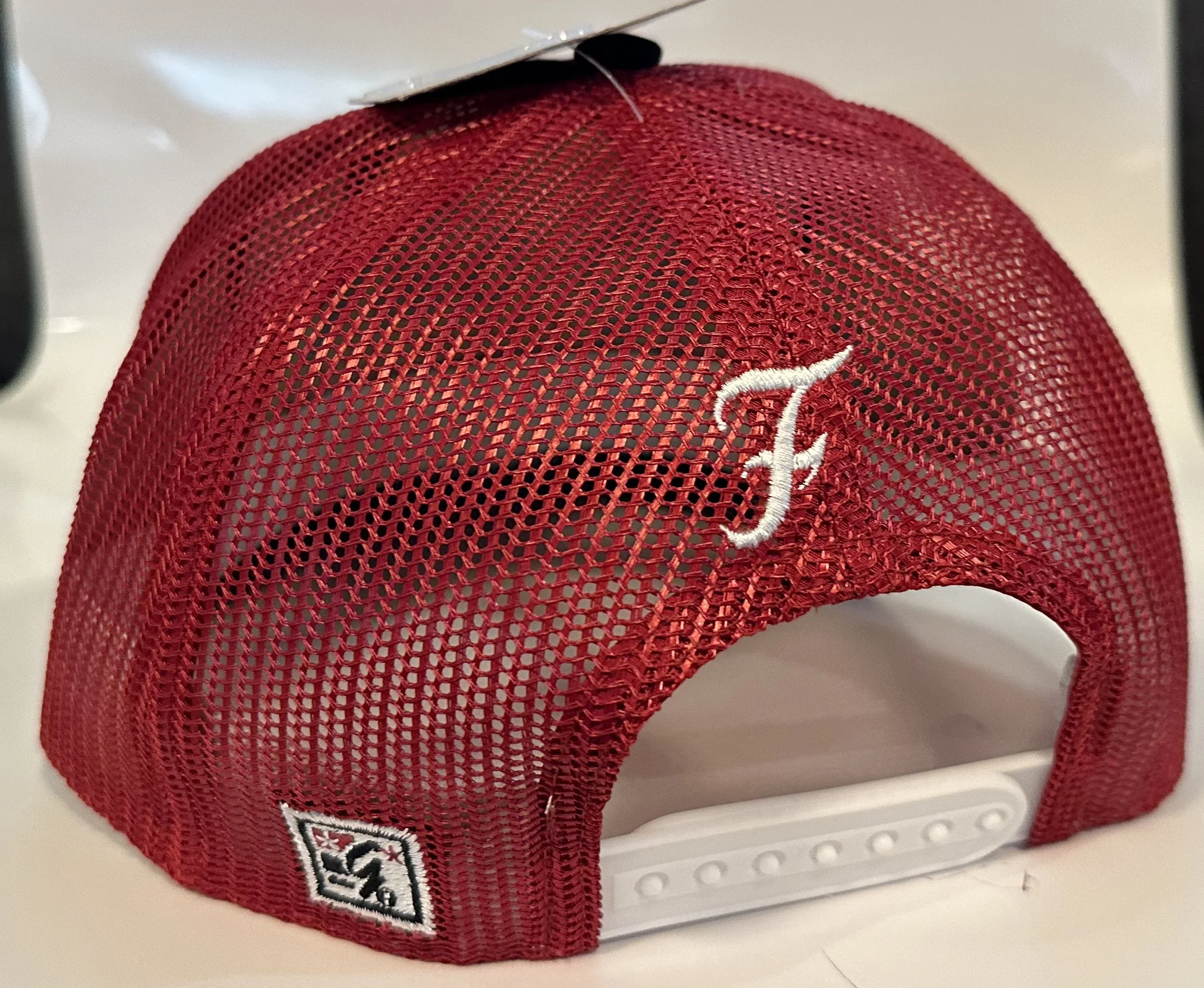Trucker - Snap back - Back.jpg