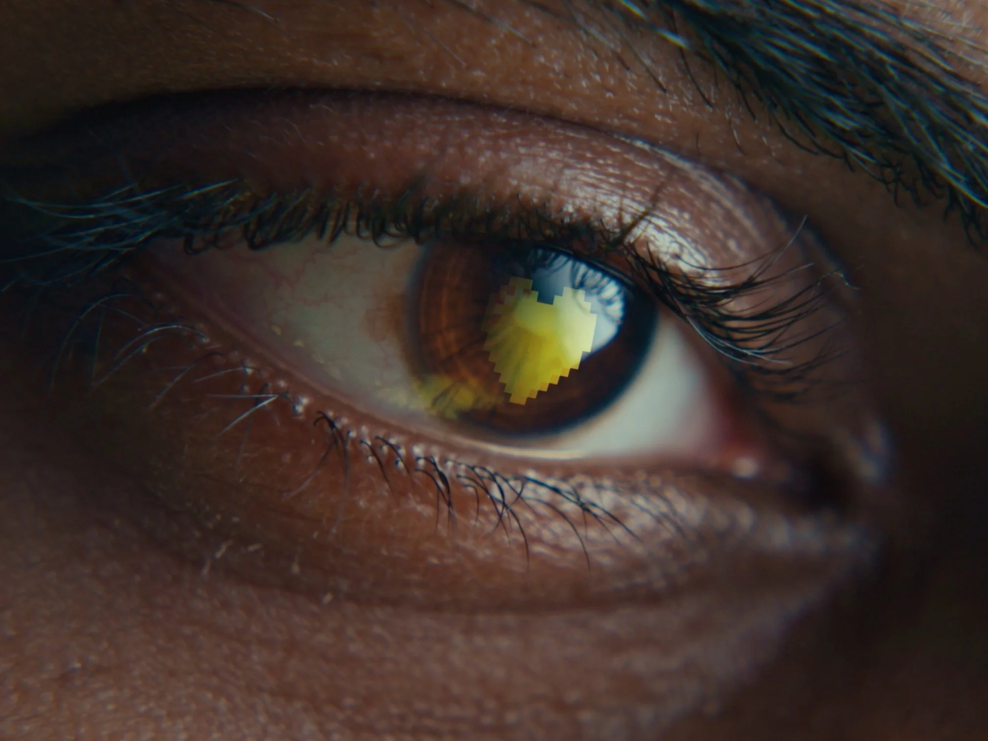 Equitas x CSK | Director