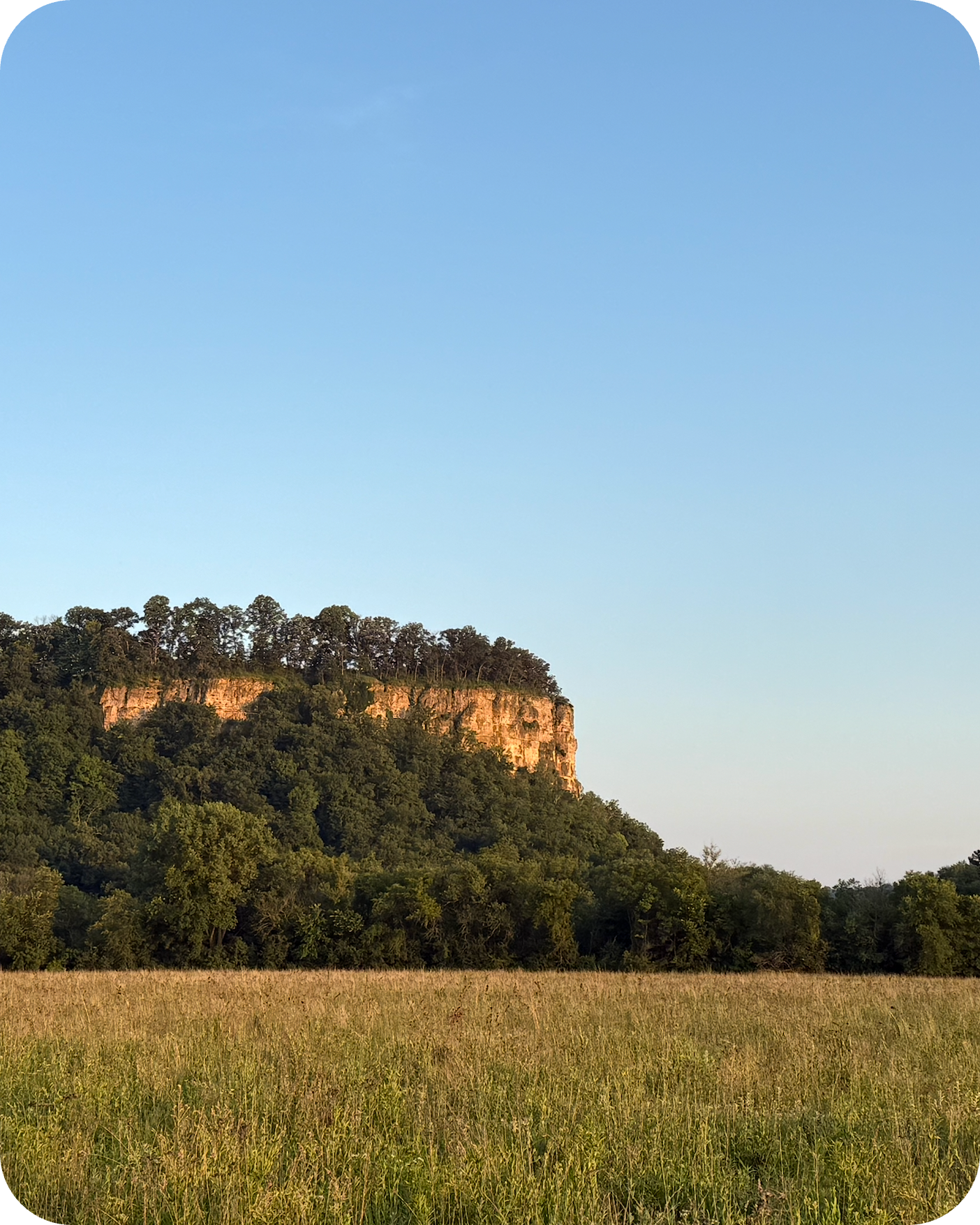 Vista: A Minnesota Cannabis Company Built on Consistency