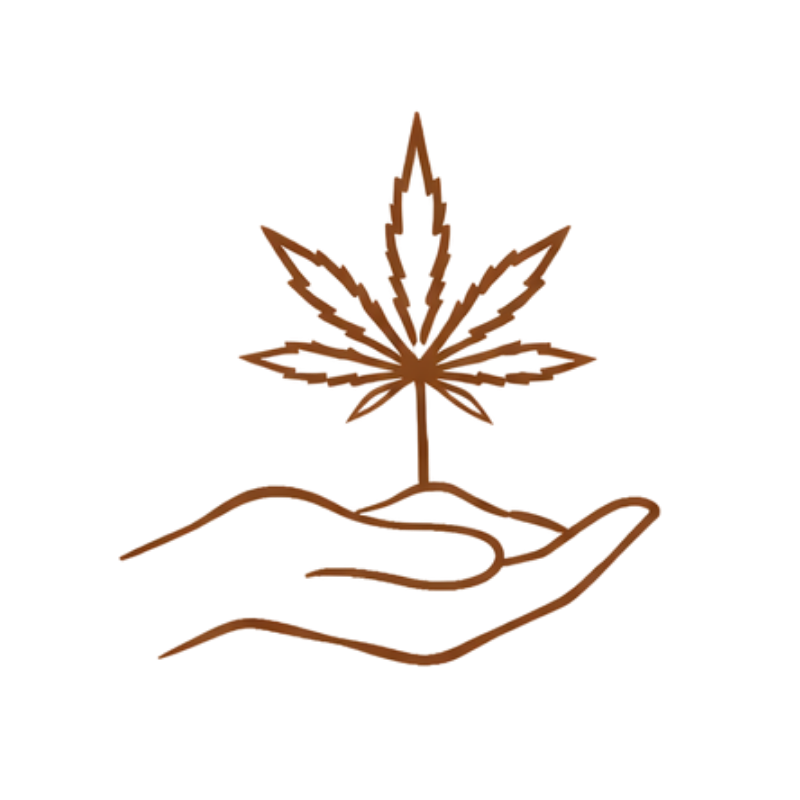 Line drawing of a hand holding a small plant with a cannabis leaf on top.