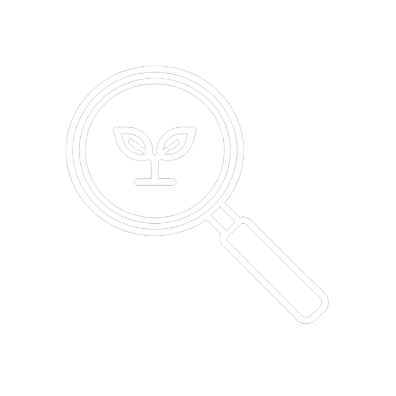 Magnifying glass with a plant inside it, symbolizing environmental or agricultural examination.