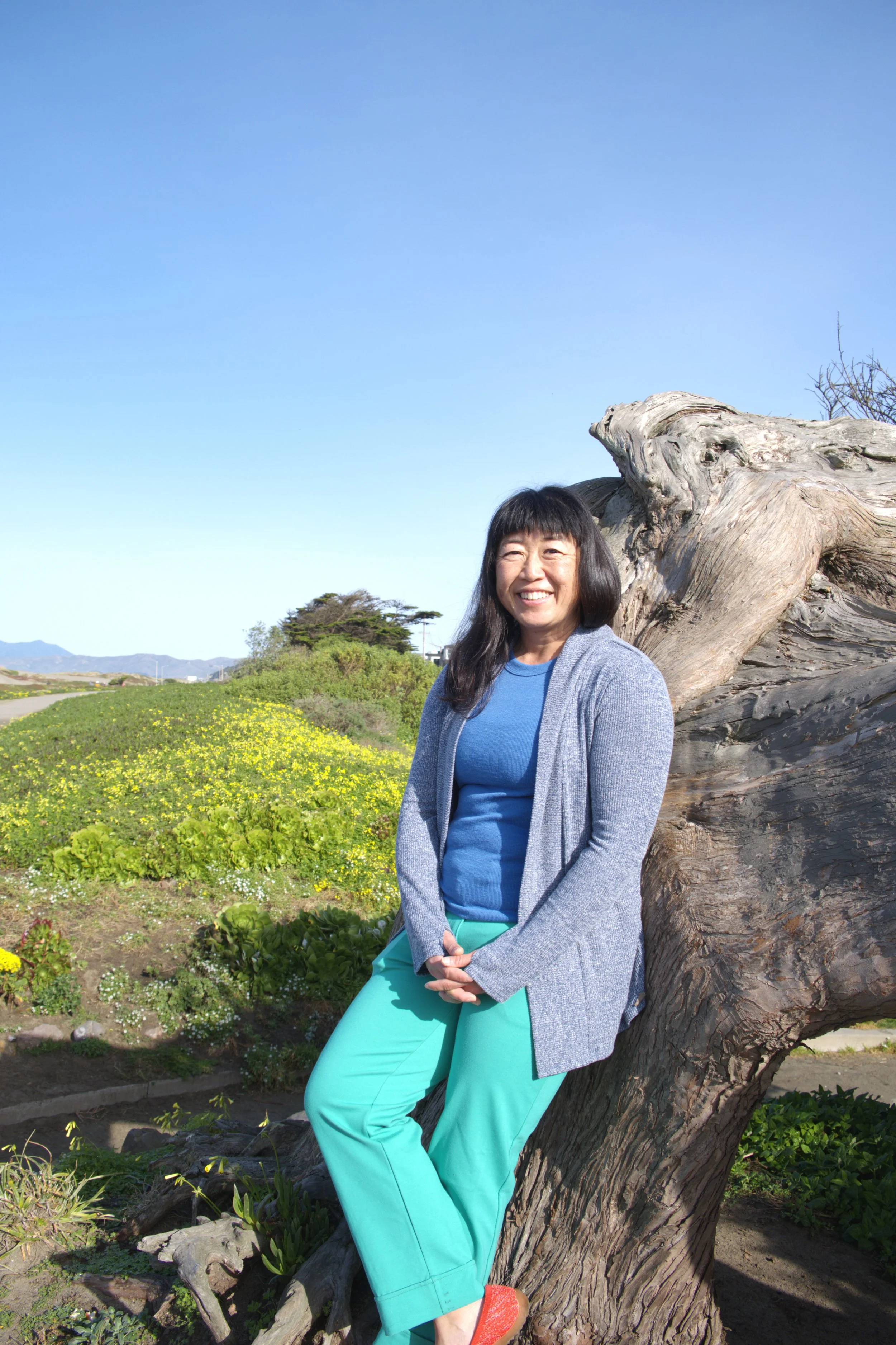 San Francisco, SF, Bay Area, Ocean Beach, Golden Gate Park, GGP, Therapy, Movement Therapy, Momentum Therapy, Climb, Walk, Walking, Walk and Talk, Talking, Climbing Therapy, Walk and Talk Therapy, Outside, Outer Sunset, Sunset District