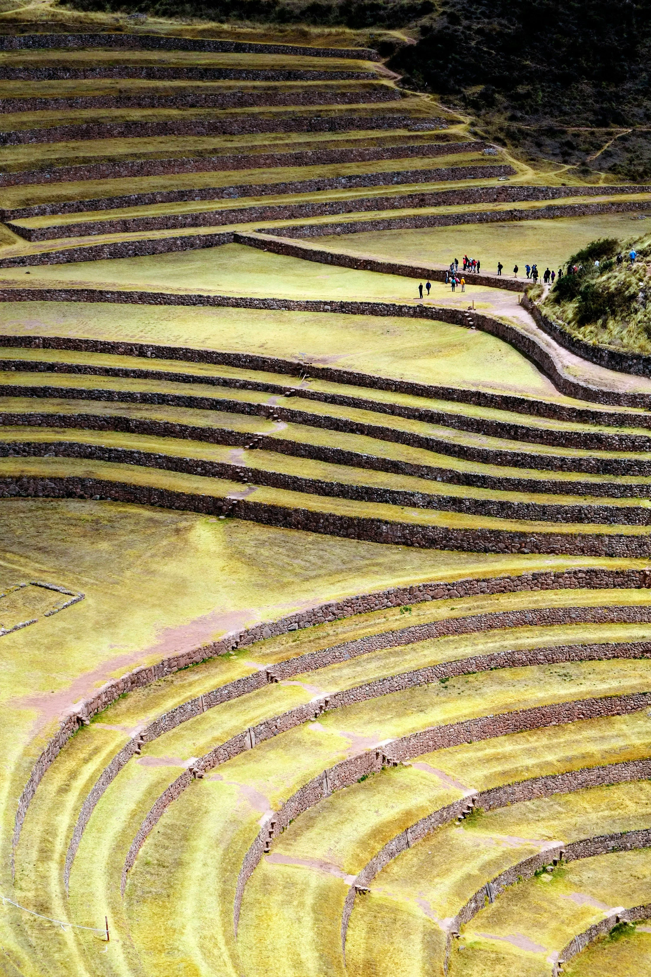 Terraced hillsides at Sacred Valley with a group of tourists walking along a path.