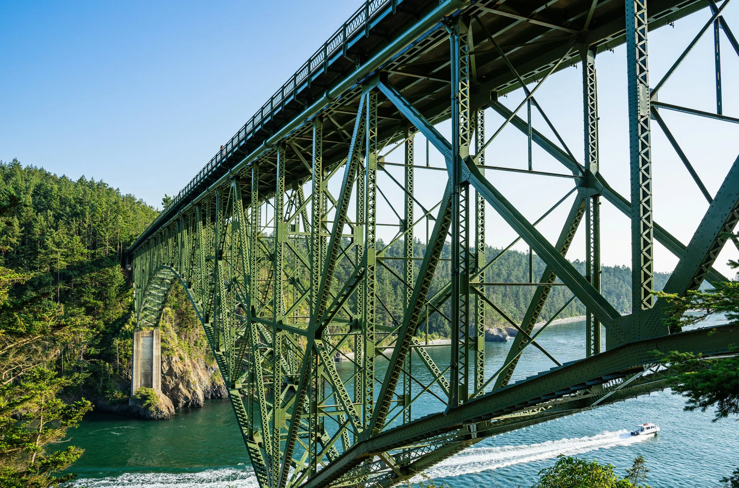 A green metal arch bridge over a body of water, surrounded by lush green trees, with a boat passing underneath.
