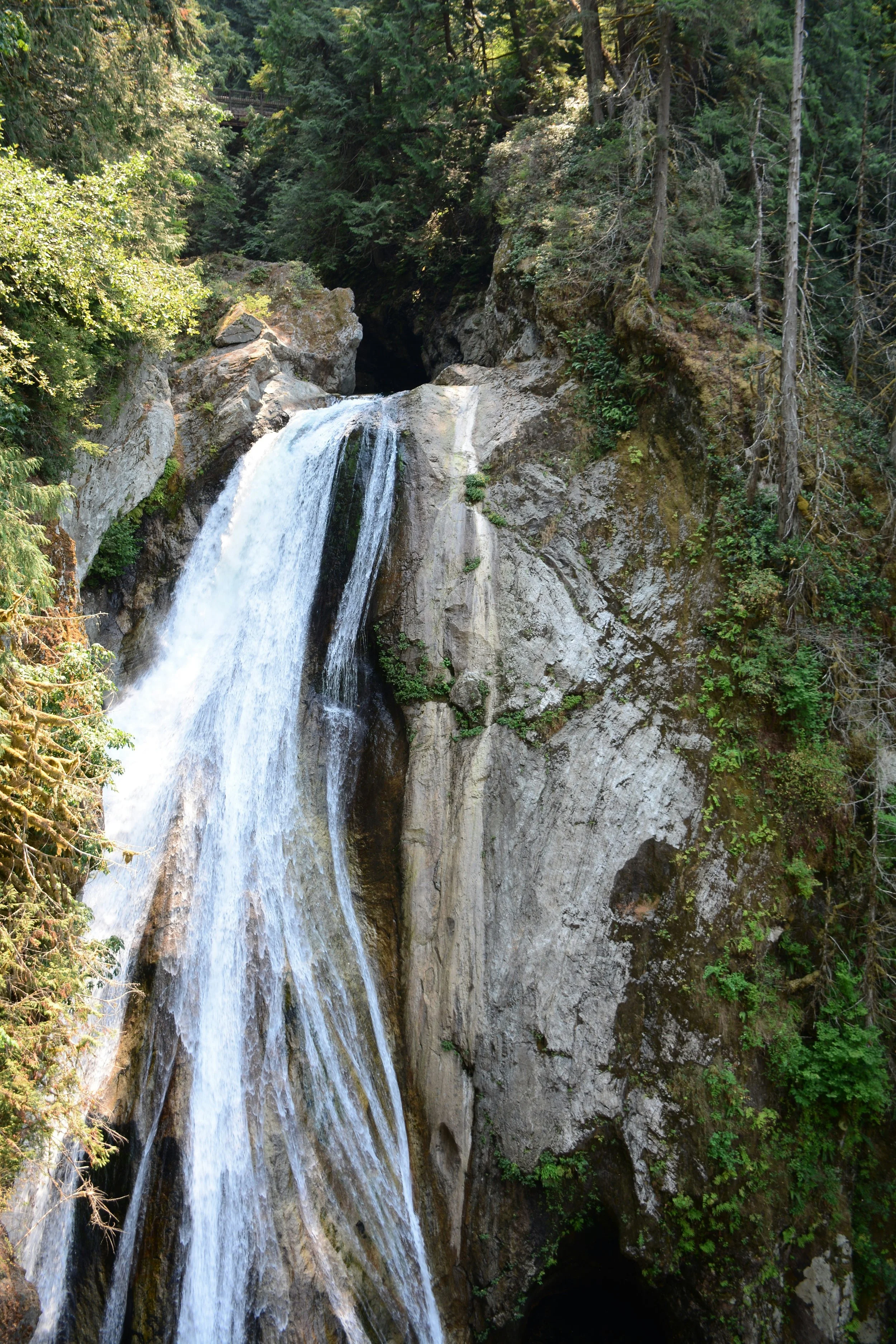 A scenic view of a waterfall cascading down a rocky cliff surrounded by dense green forest.