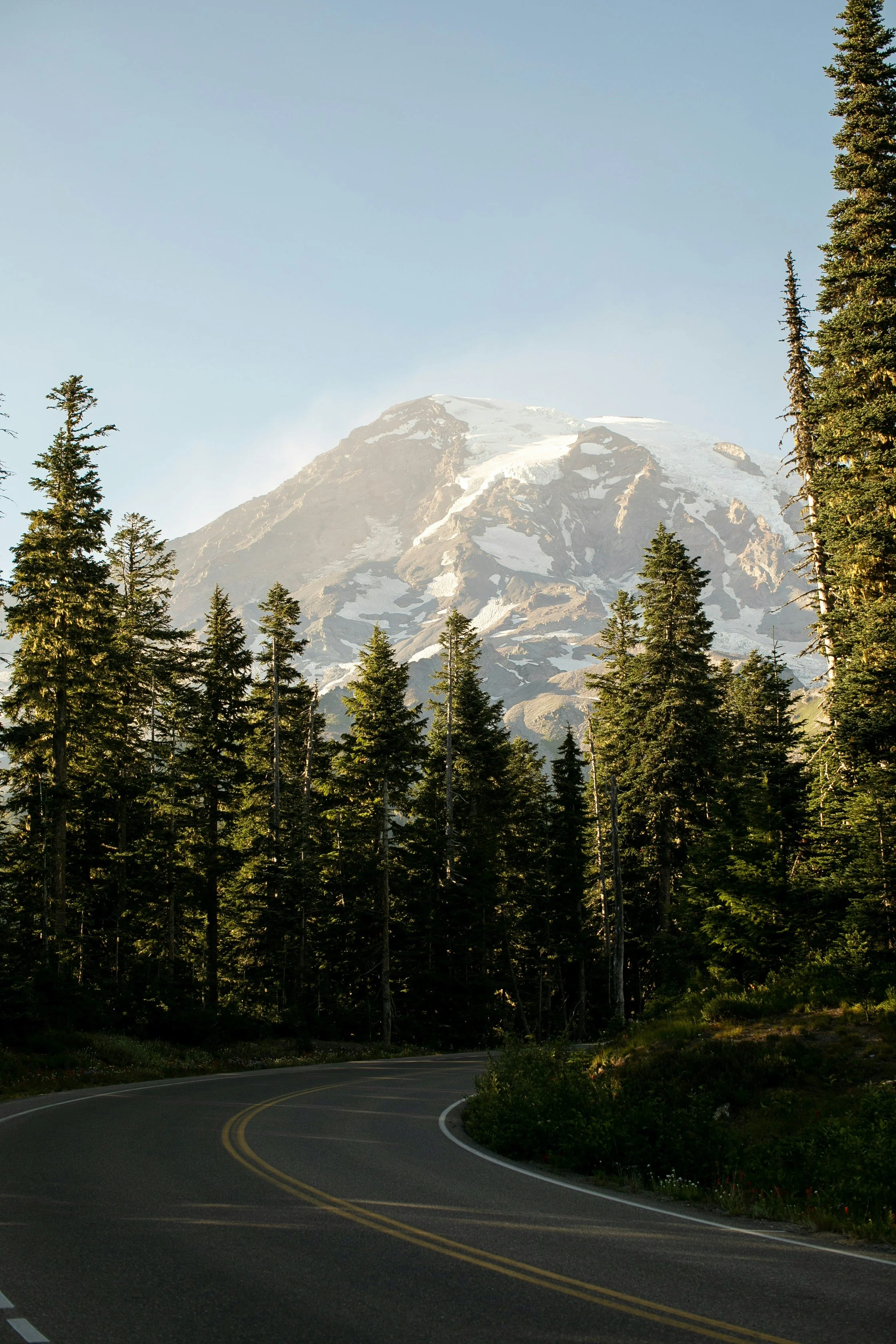 A winding mountain road surrounded by tall evergreen trees, with a snow-capped mountain peak in the background against a clear blue sky.