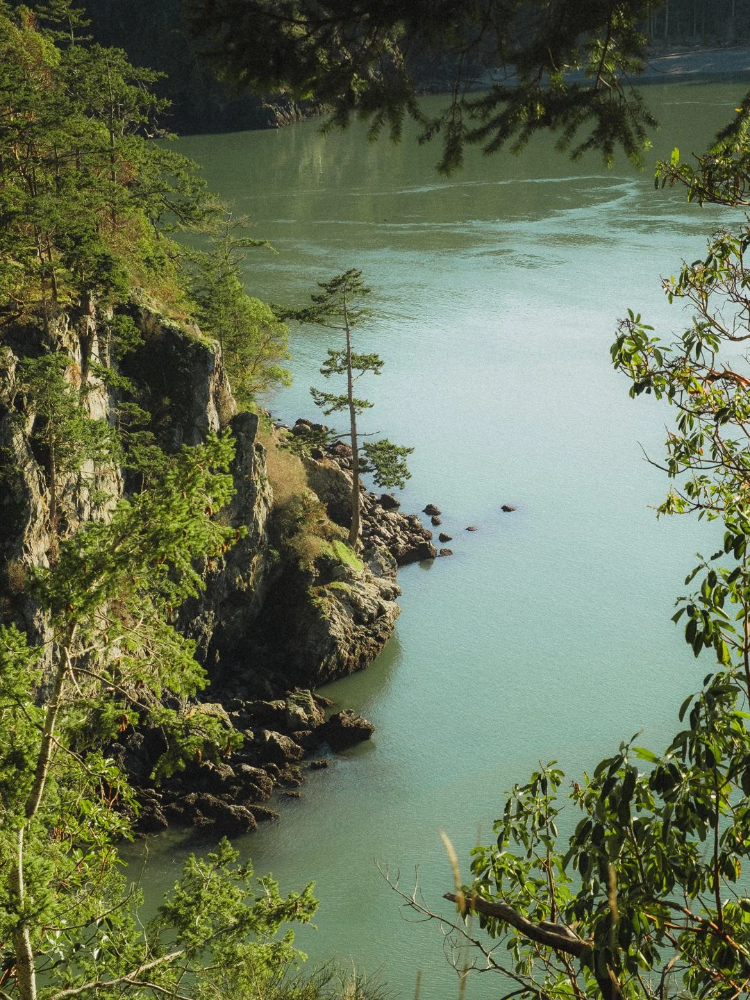 A scenic view of a rocky cliffside with green trees overlooking a calm, greenish-blue body of water, with parts of the shoreline and water visible through the trees.