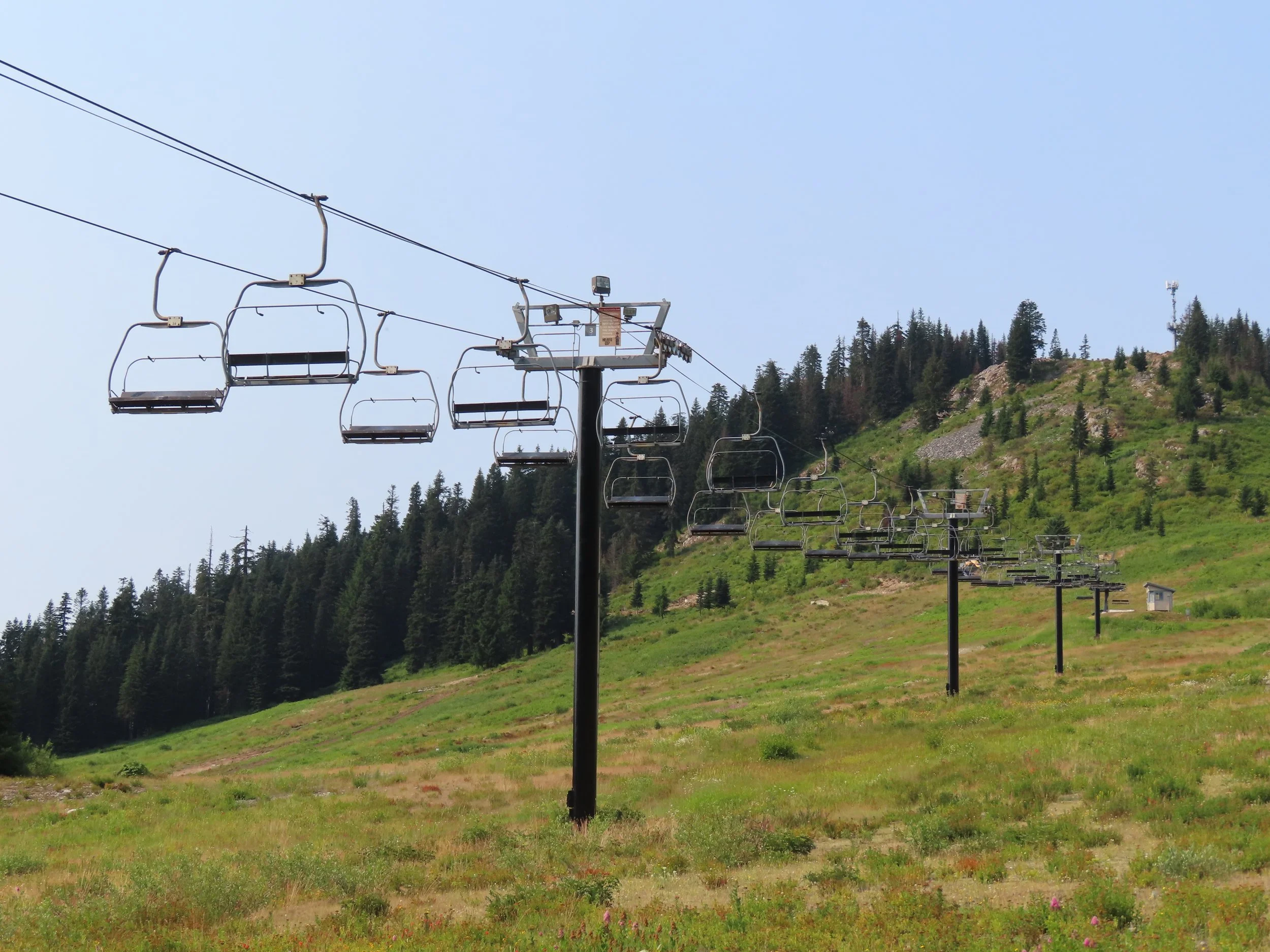 Empty ski lift chairs on a mountain with green trees and a clear blue sky.